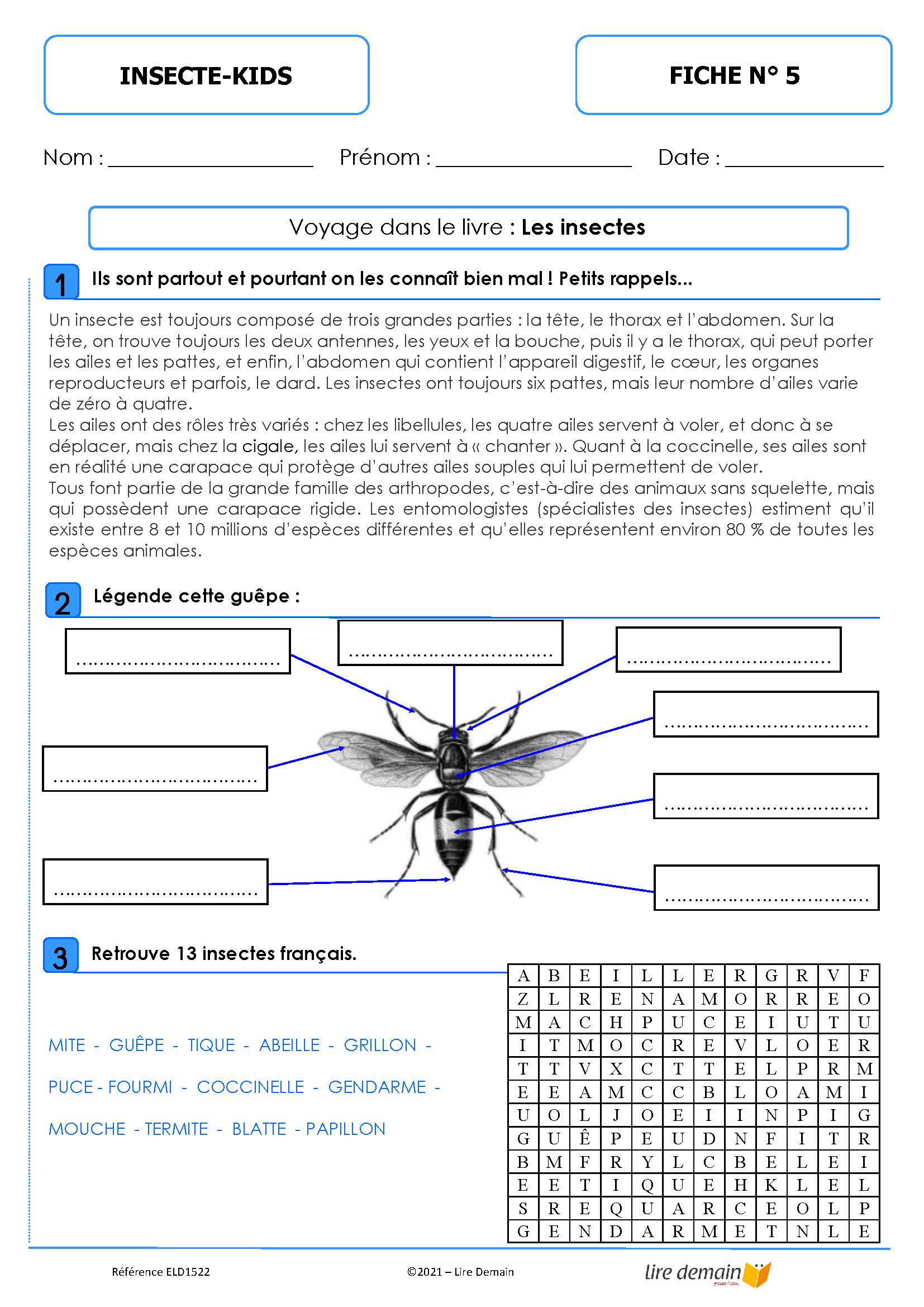 LECTURE SUIVIE - INSECTE-KIDS (25 EX)