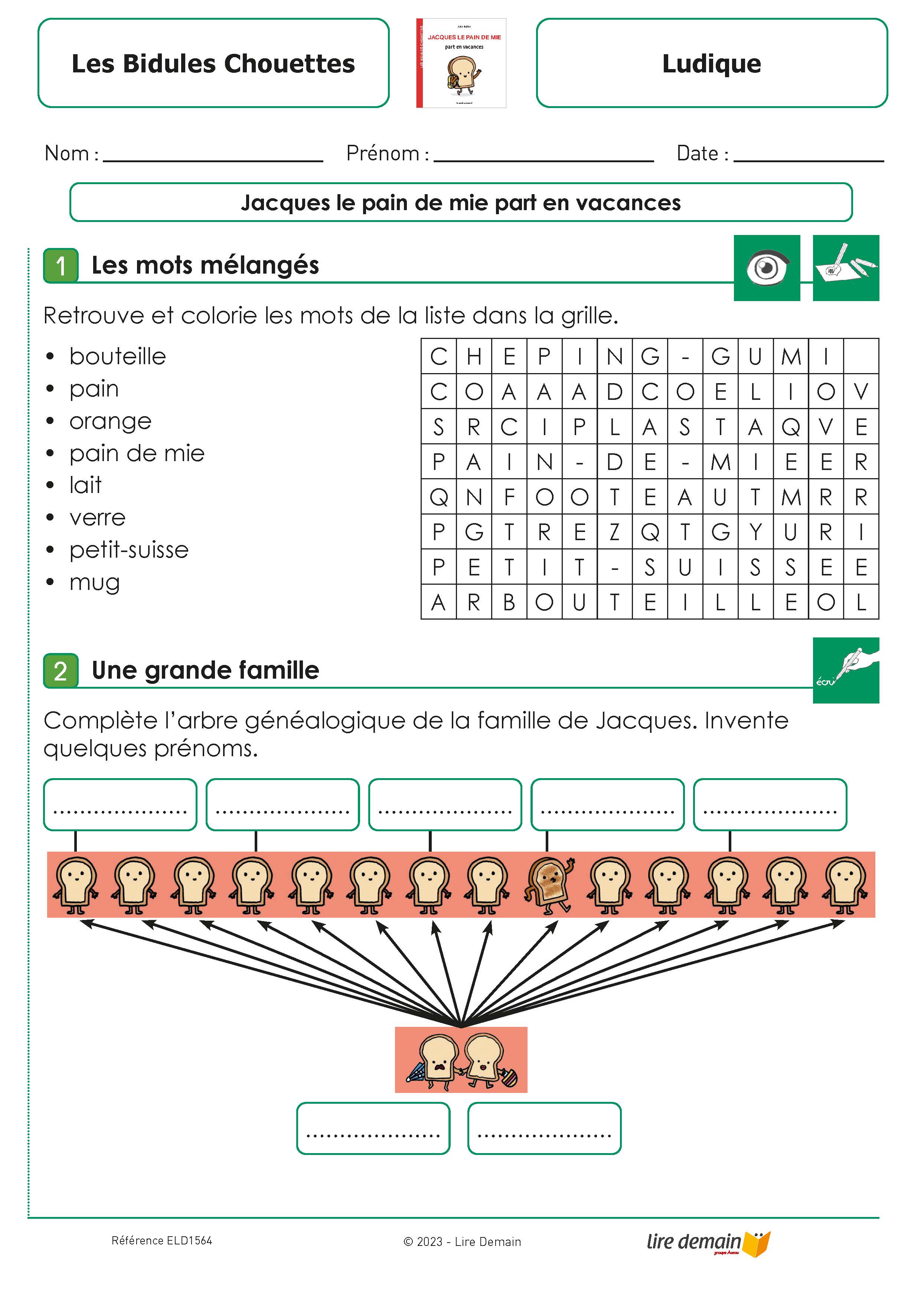 RALLYE LECTURE - LES BIDULES CHOUETTES (FICHIER SEUL)