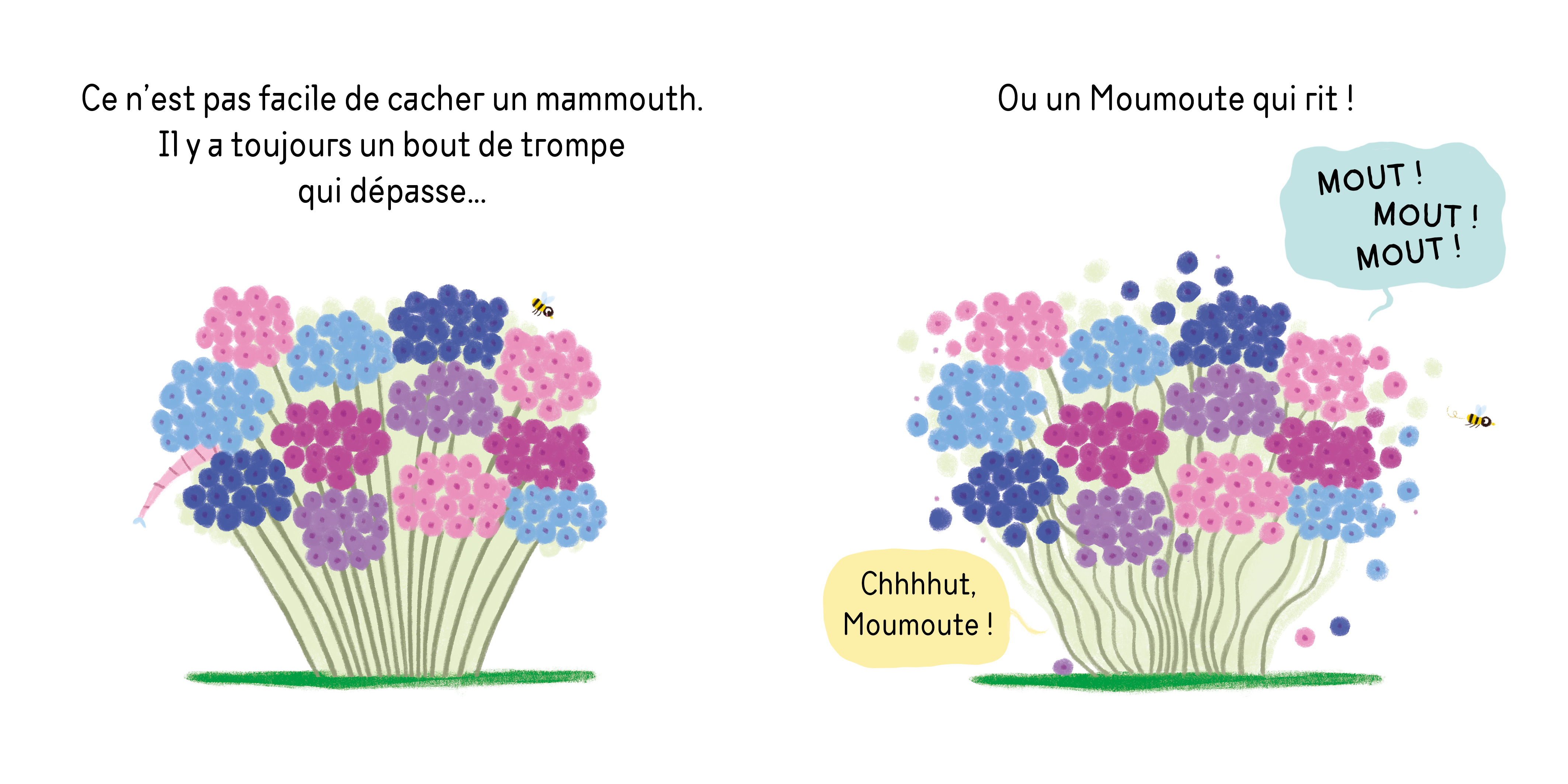 CACHE-CACHE MOUMOUTE CACHE-CACHE MOUMOUTE