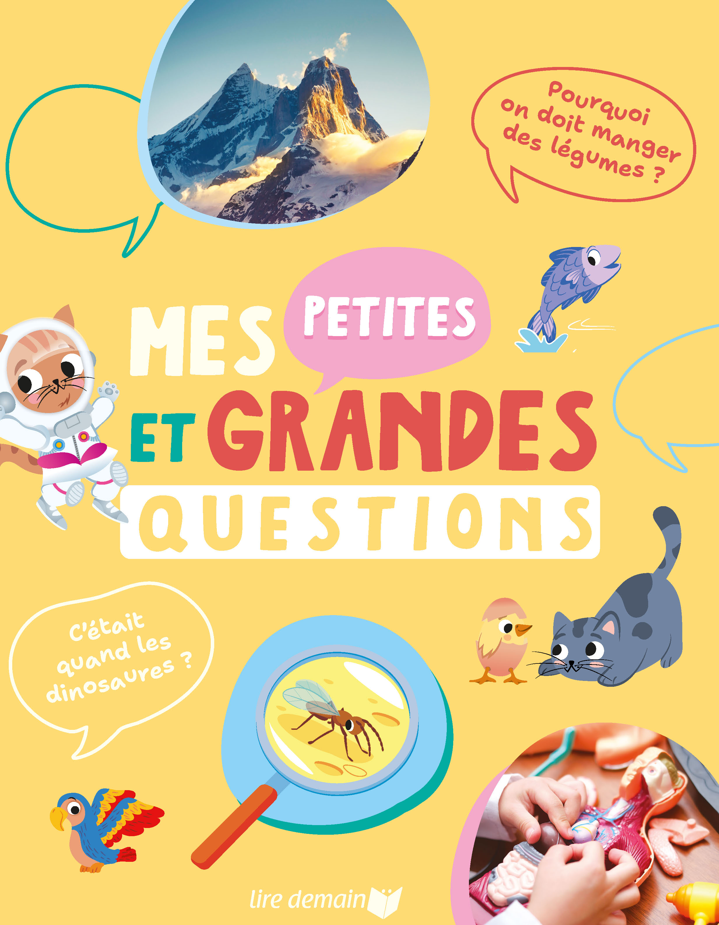 MES PETITES ET GRANDES QUESTIONS MES PETITES ET GRANDES QUESTIONS