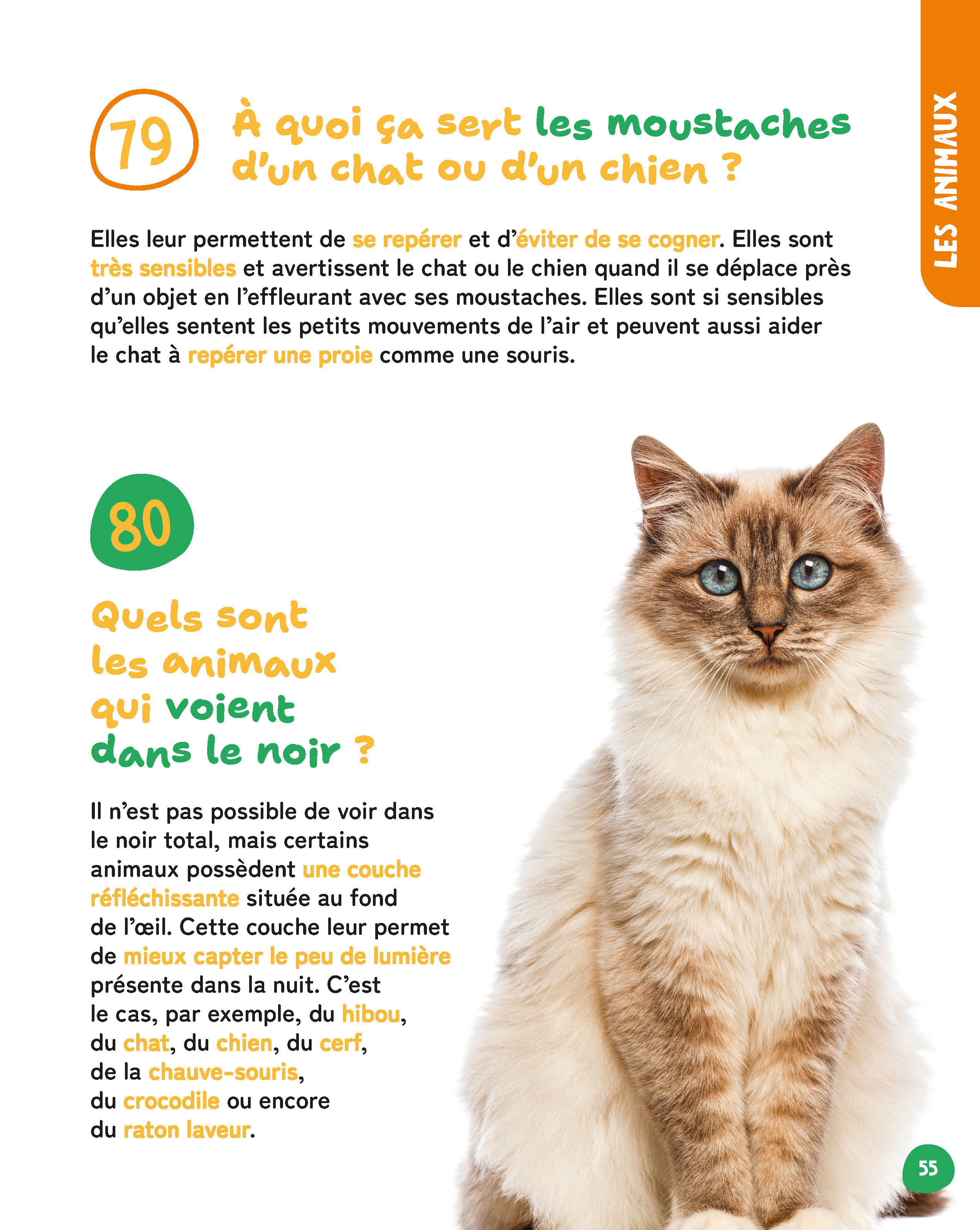 MES PETITES ET GRANDES QUESTIONS