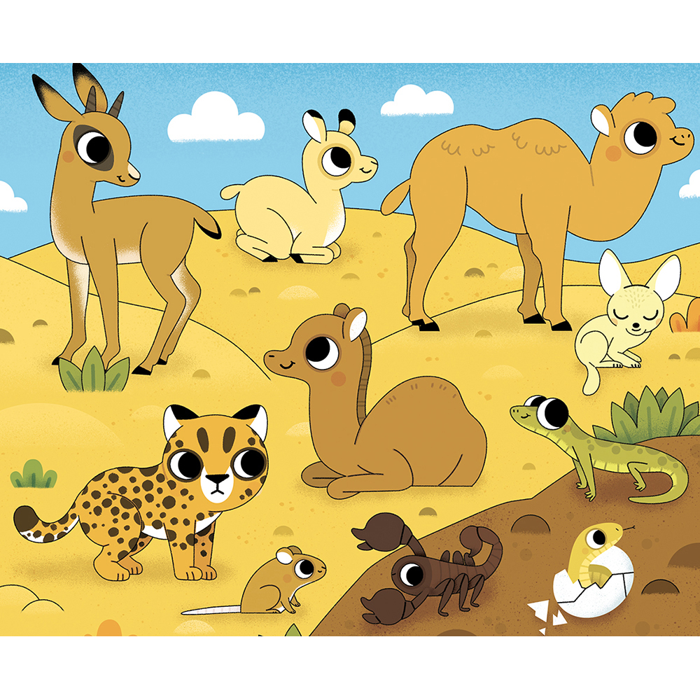 Baby Animals