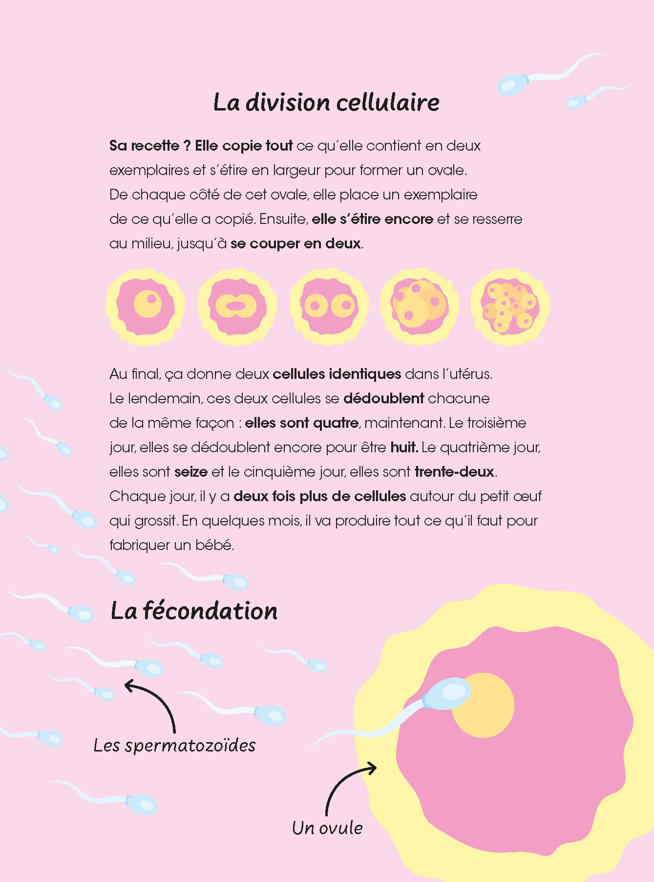 DECOUVRE LE CORPS HUMAIN AVEC LILI