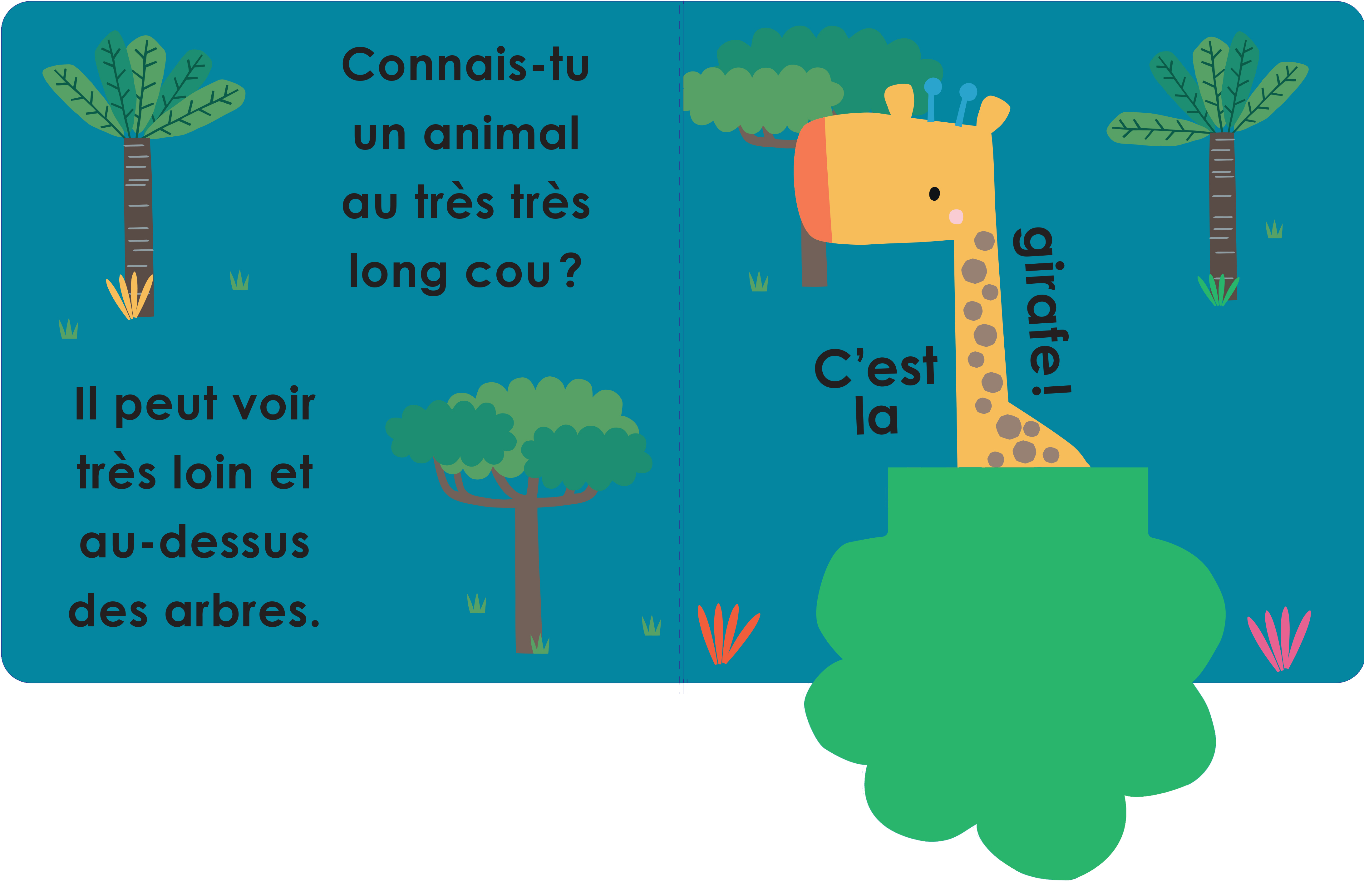 CACHE-CACHE DANS LA JUNGLE  
