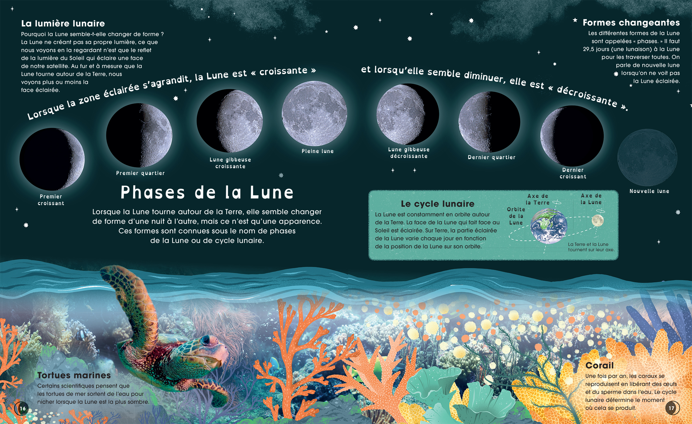 LA LUNE : DECOUVRE LES MYSTERES DE NOTRE PLUS PROCHE VOISINE