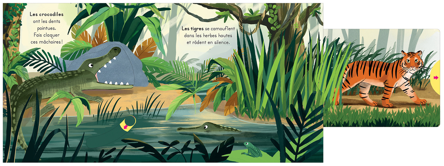 LA JUNGLE