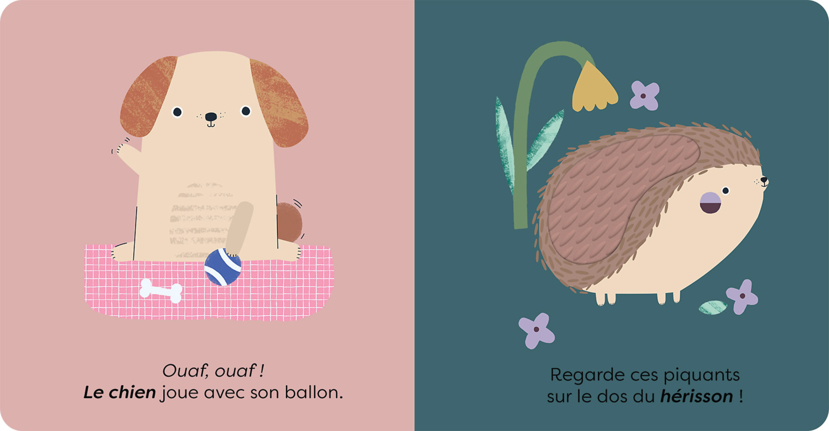 TOUCHE ET DECOUVRE LES ANIMAUX : A LA DECOUVERTE DES PREMIERS MOTS