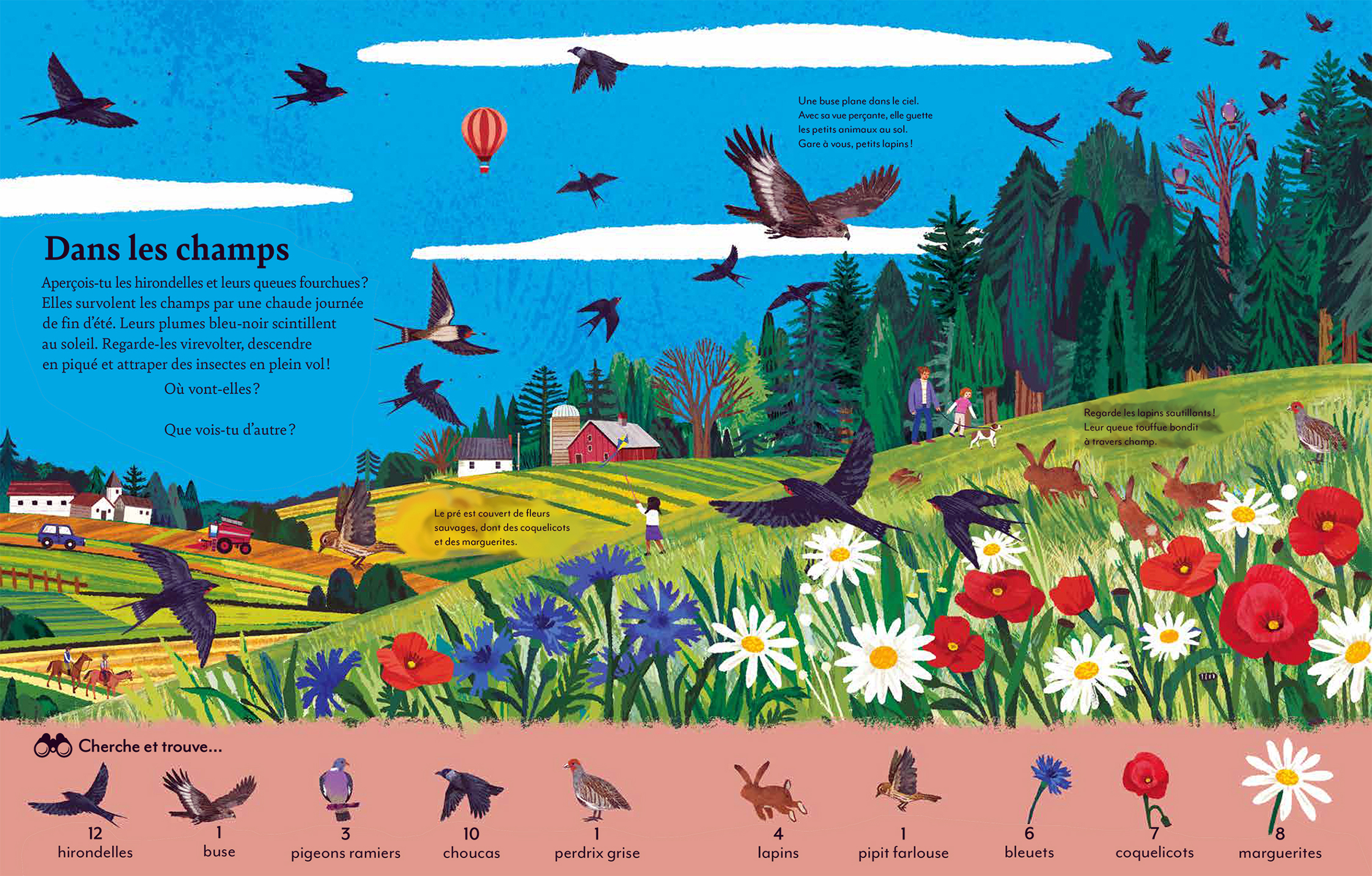 VU D VU D