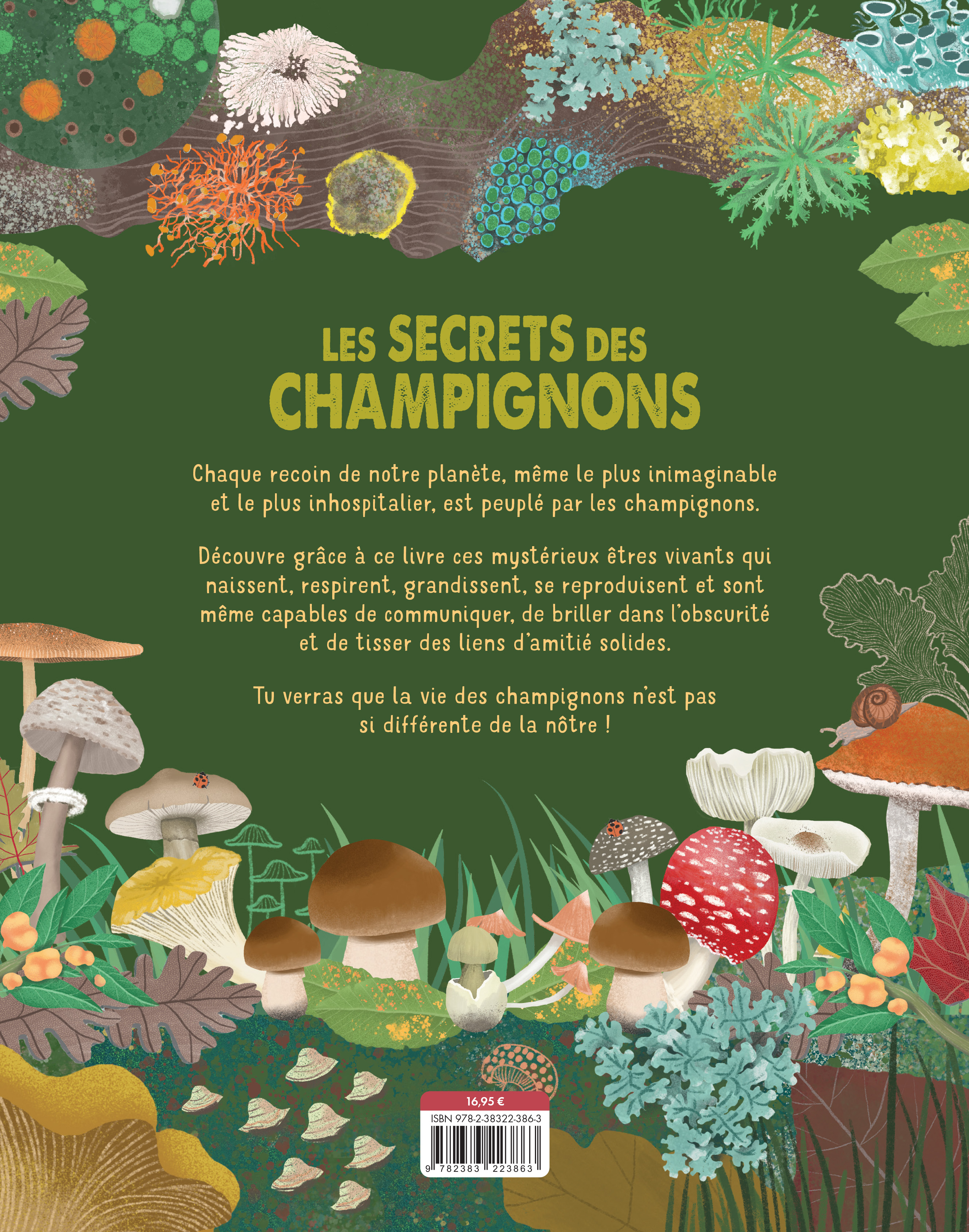 LE SECRET DES CHAMPIGNONS