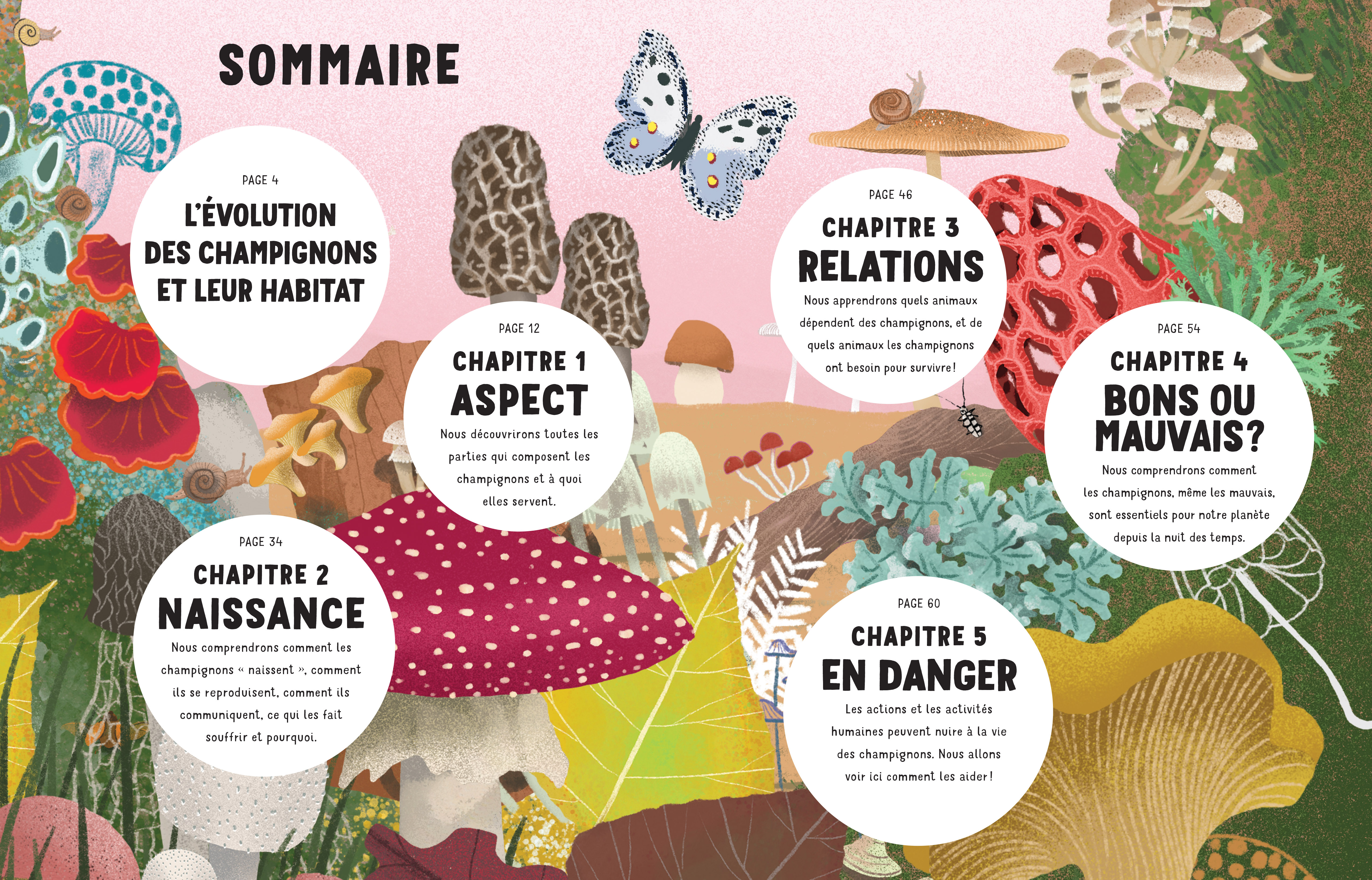 LE SECRET DES CHAMPIGNONS