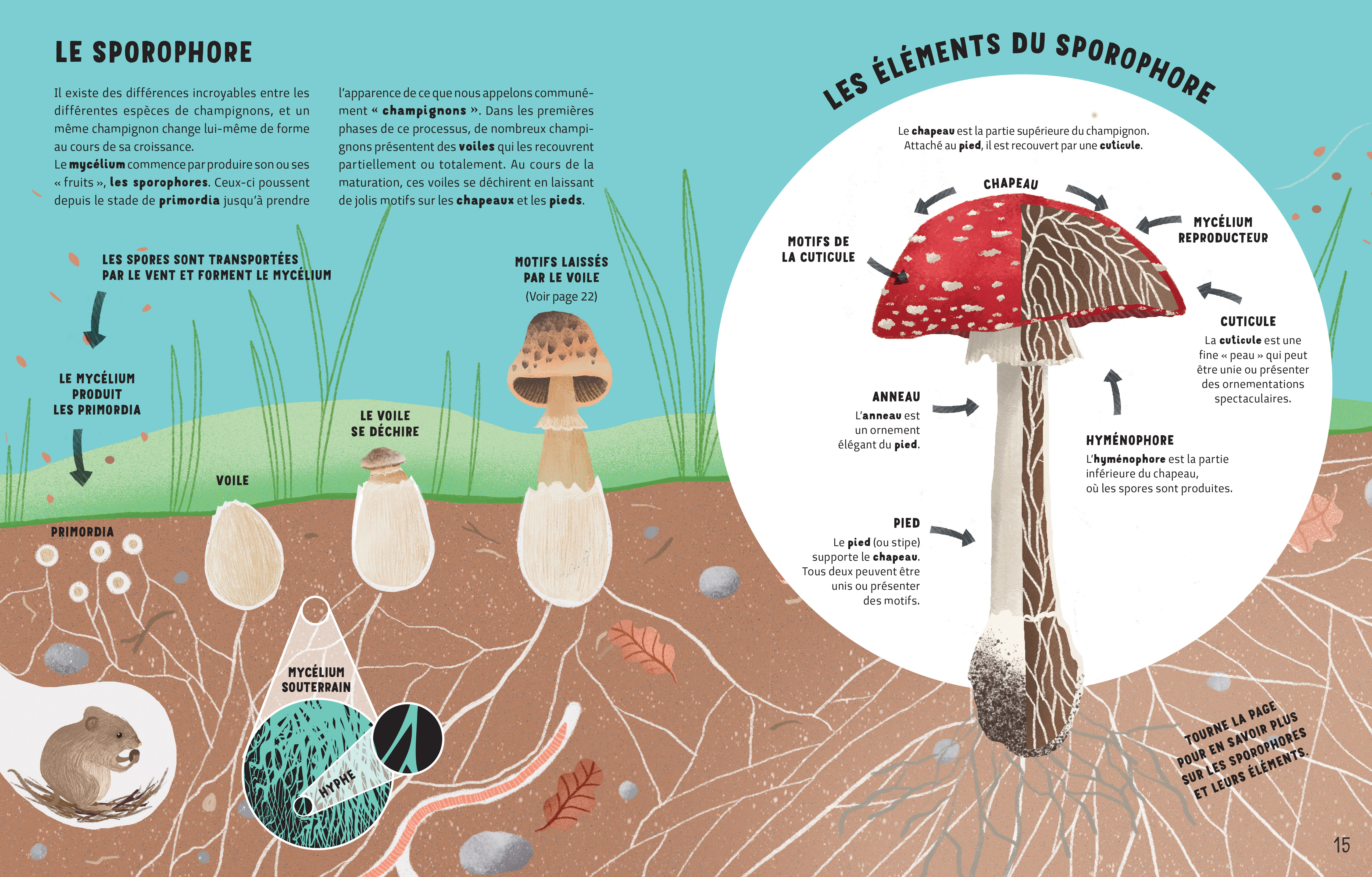 LE SECRET DES CHAMPIGNONS