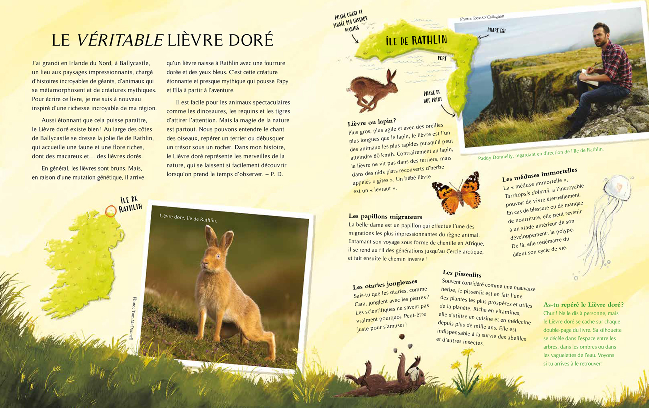 A LA RECHERCHE DU LIEVRE DORE