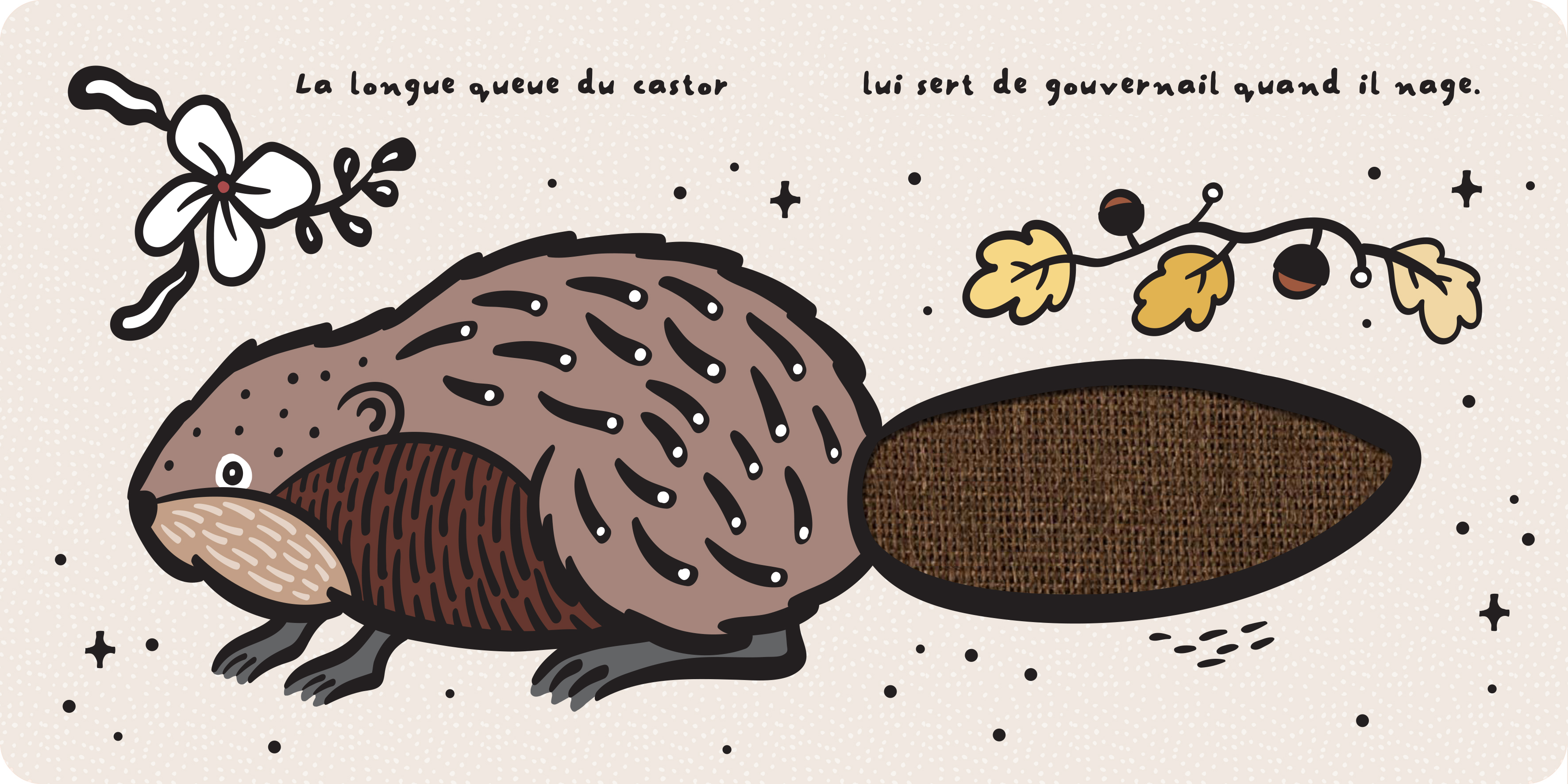  DU BOUT DES DOIGTS - LES QUEUES DES ANIMAUX 