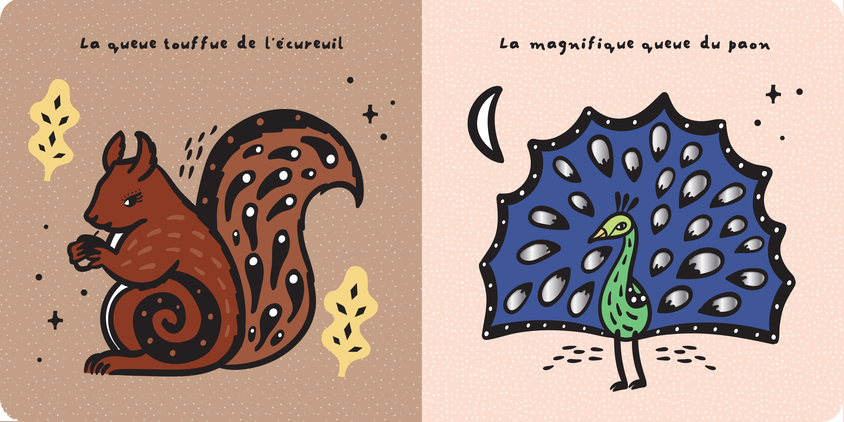  DU BOUT DES DOIGTS - LES QUEUES DES ANIMAUX 