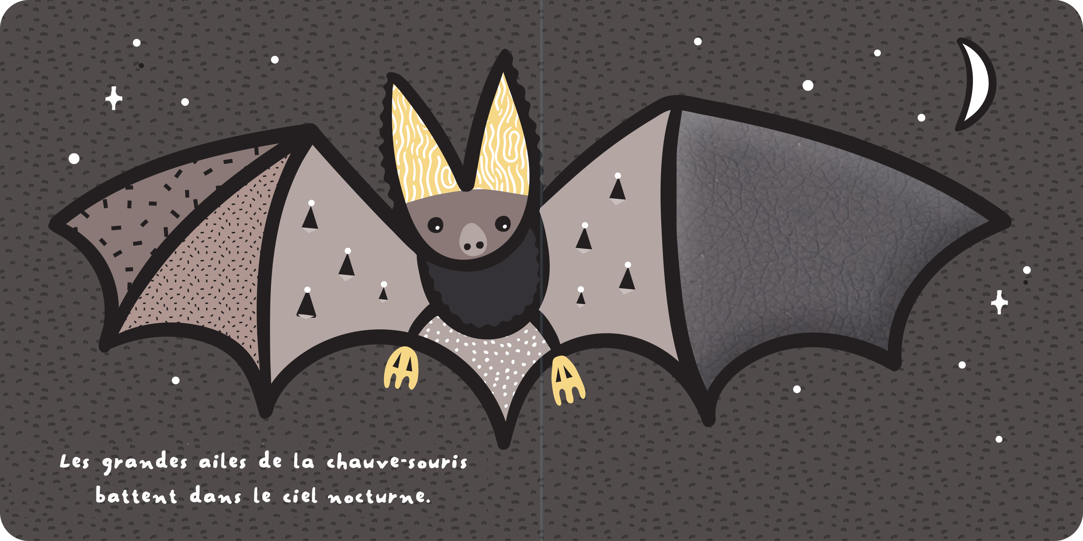 DU BOUT DES DOIGTS - LES AILES DES ANIMAUX