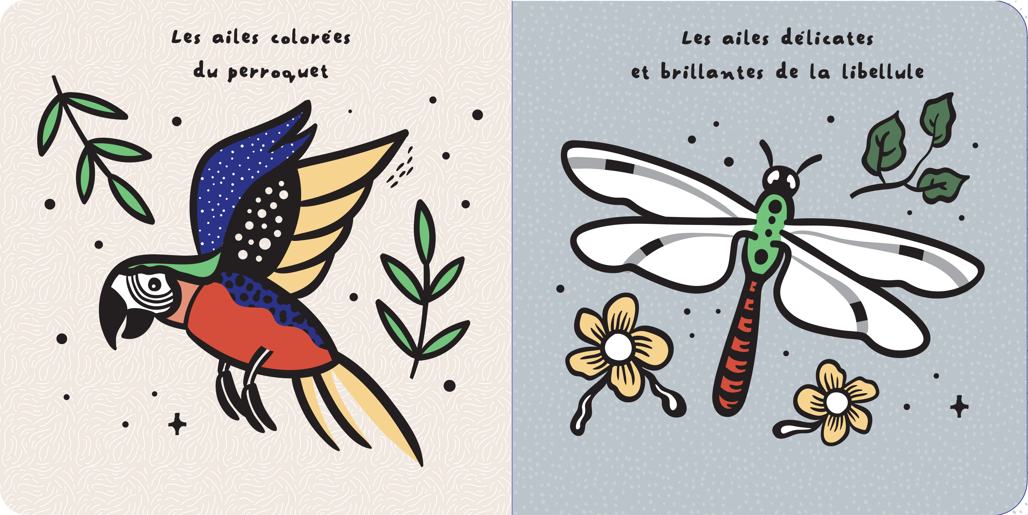 DU BOUT DES DOIGTS - LES AILES DES ANIMAUX