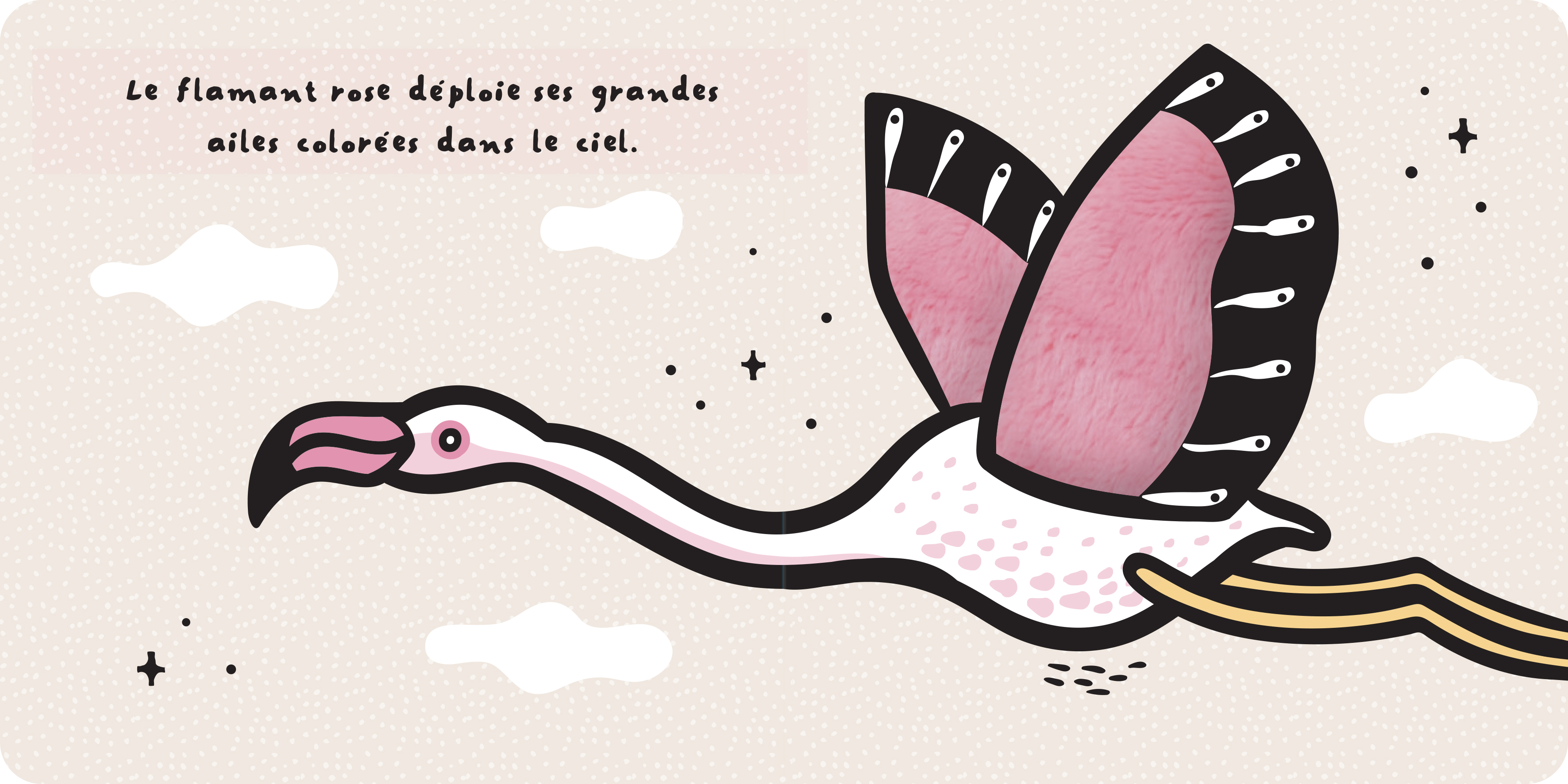 DU BOUT DES DOIGTS - LES AILES DES ANIMAUX