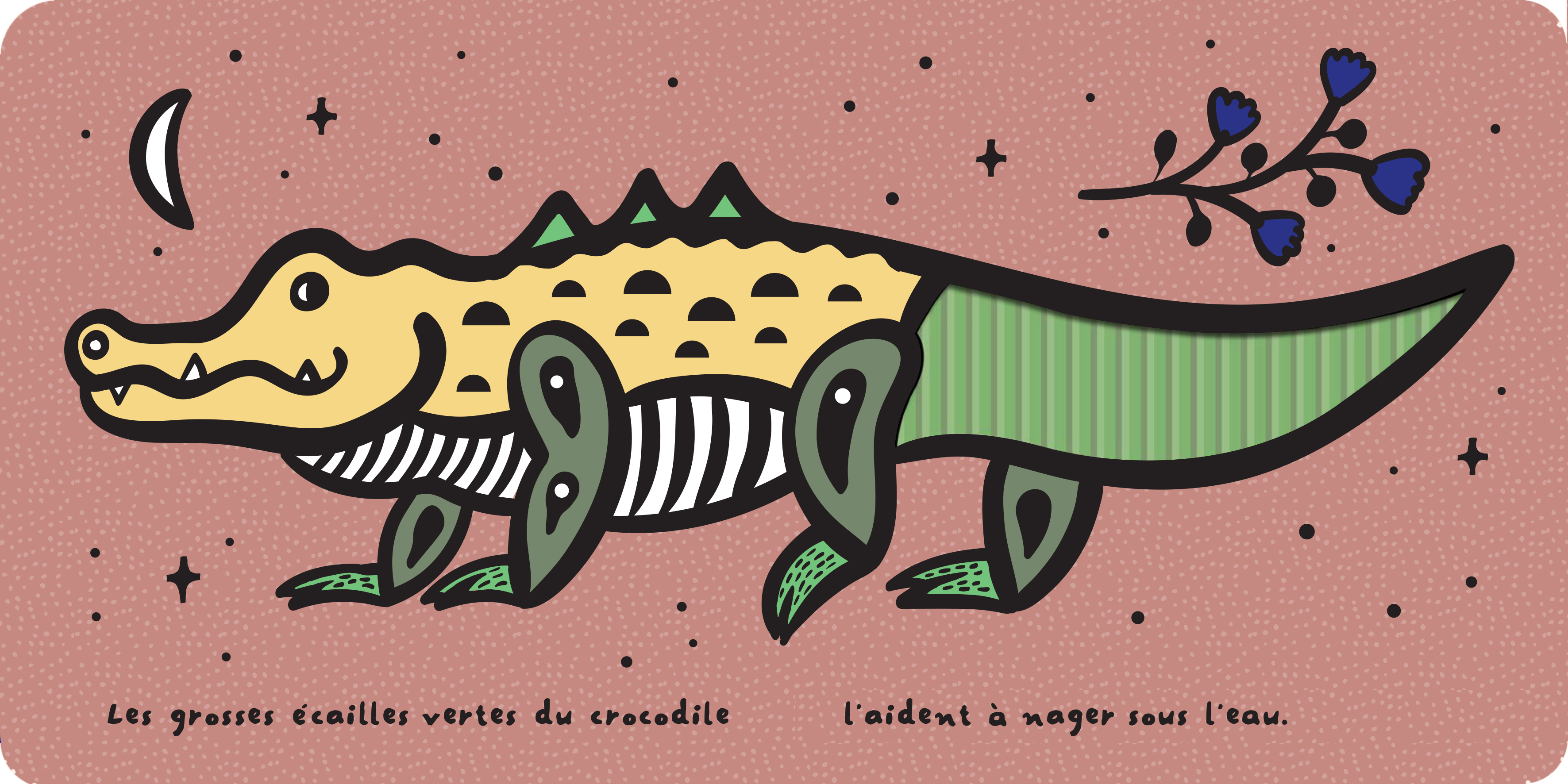 DU BOUT DES DOIGTS - LES ECAILLES DES ANIMAUX