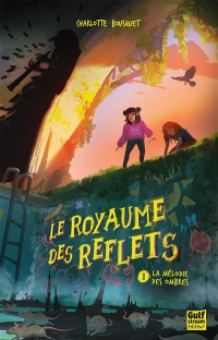 Voir les images