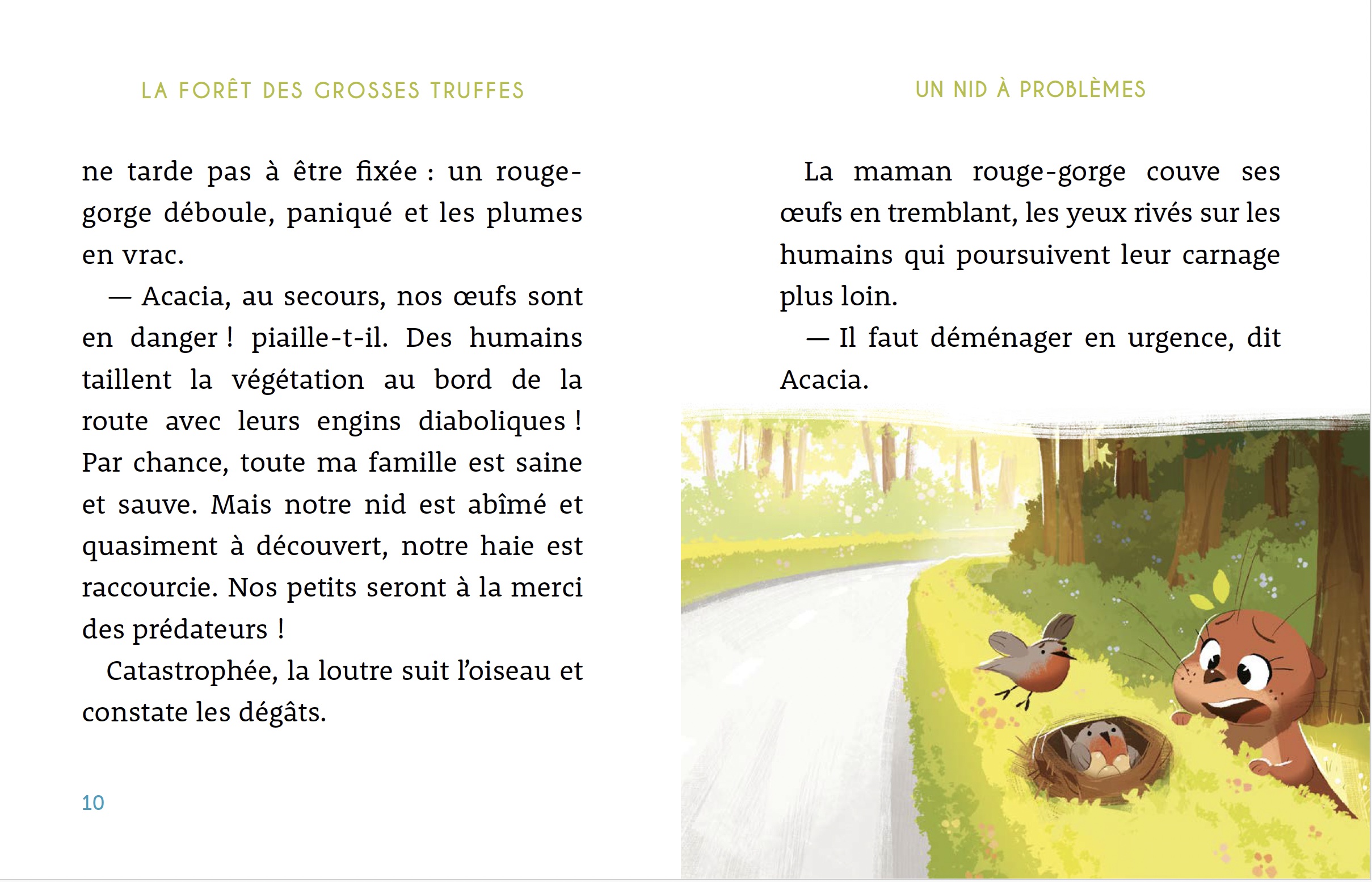 LA FORET DES GROSSES TRUFFES T1 GARE A LA CHUTE !