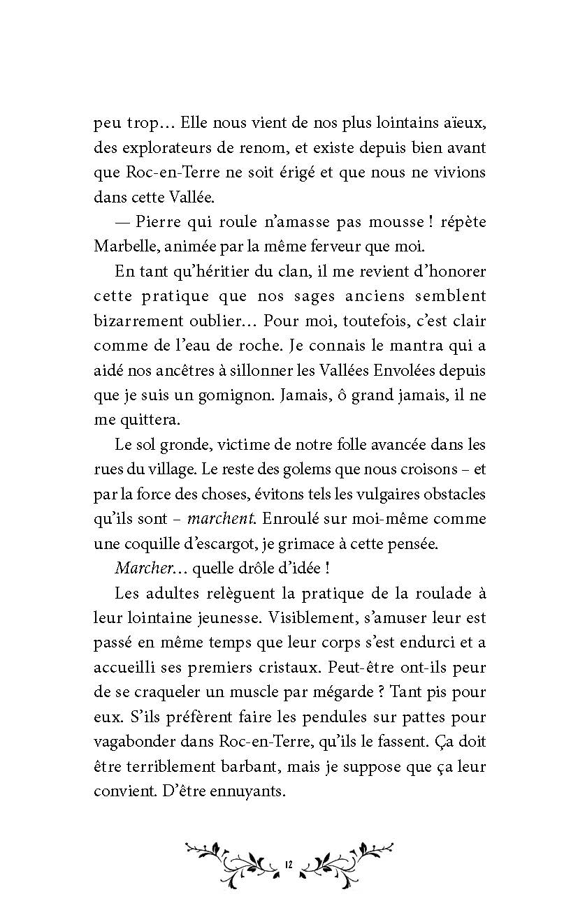 LES PIERRES DE ROC-EN-TERRE T1 LA MALEDICTION DE LA VERMIMOUSSE