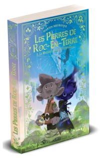 Voir les images