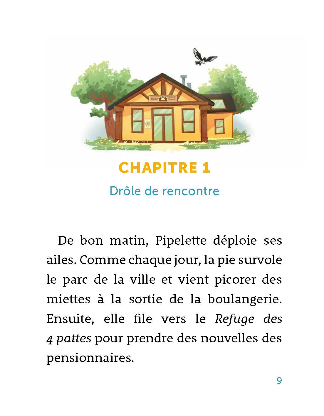LE REFUGE DES 4 PATTES - REGLISSE, LE CHATON NOIR