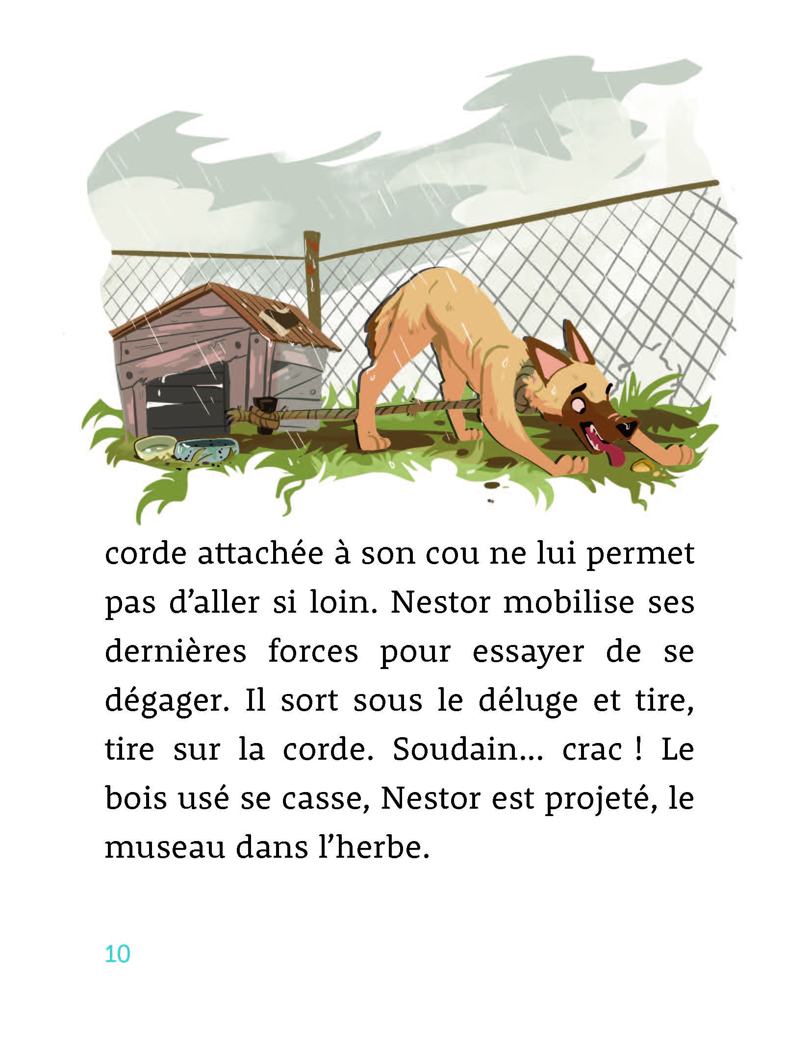LE REFUGE DES 4 PATTES - NESTOR, LE CHIEN COURAGEUX