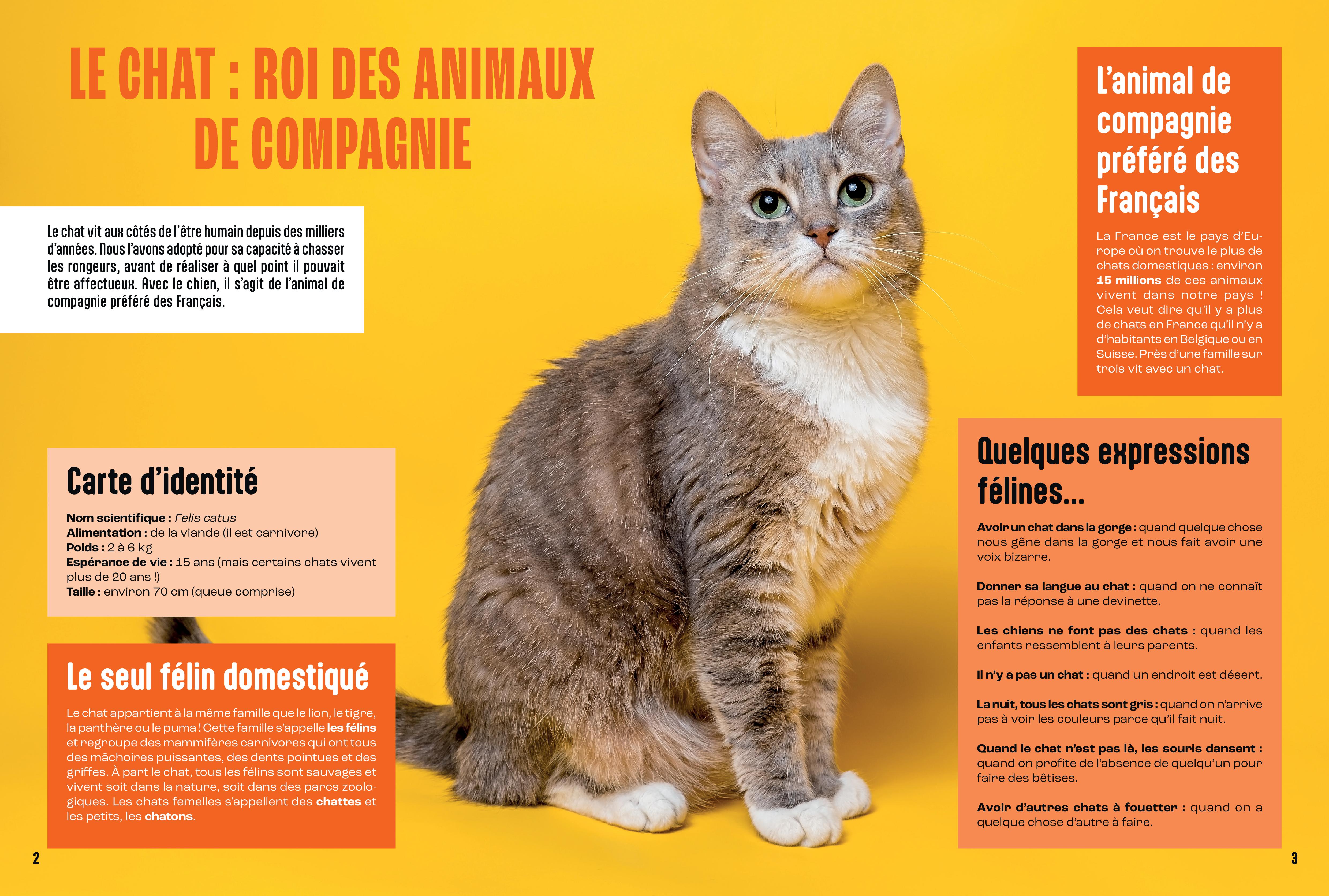 LES CHATS