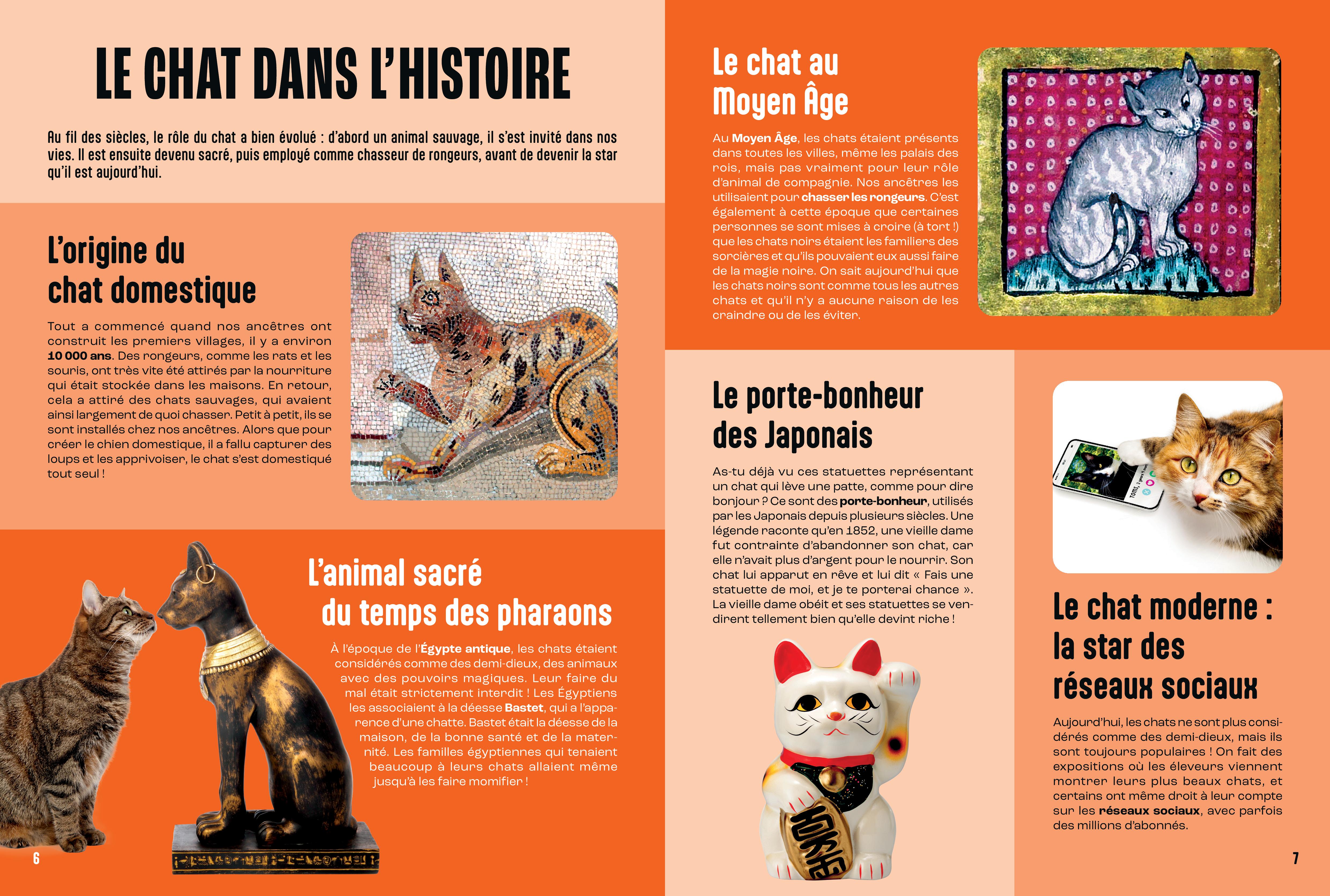 LES CHATS