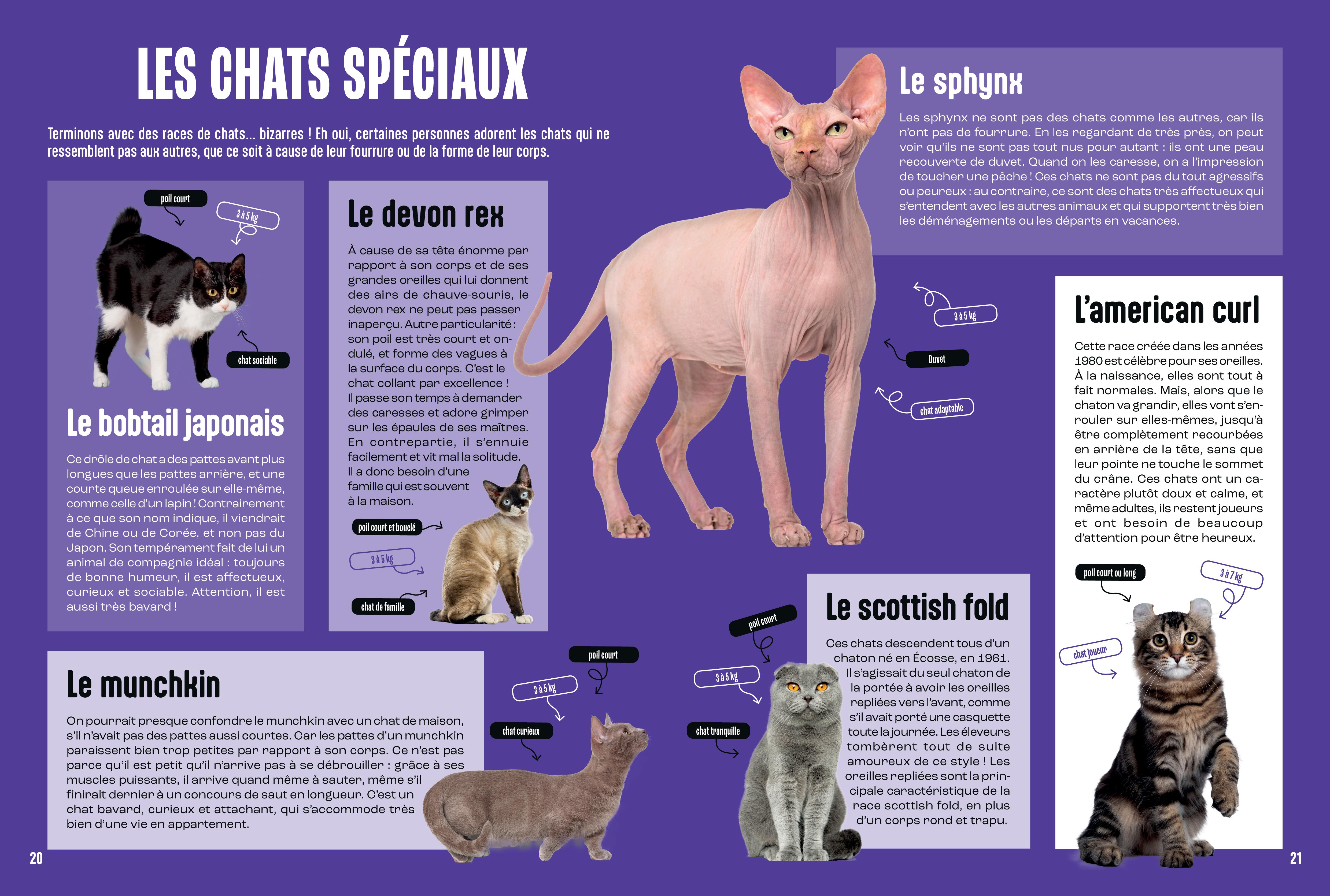 LES CHATS