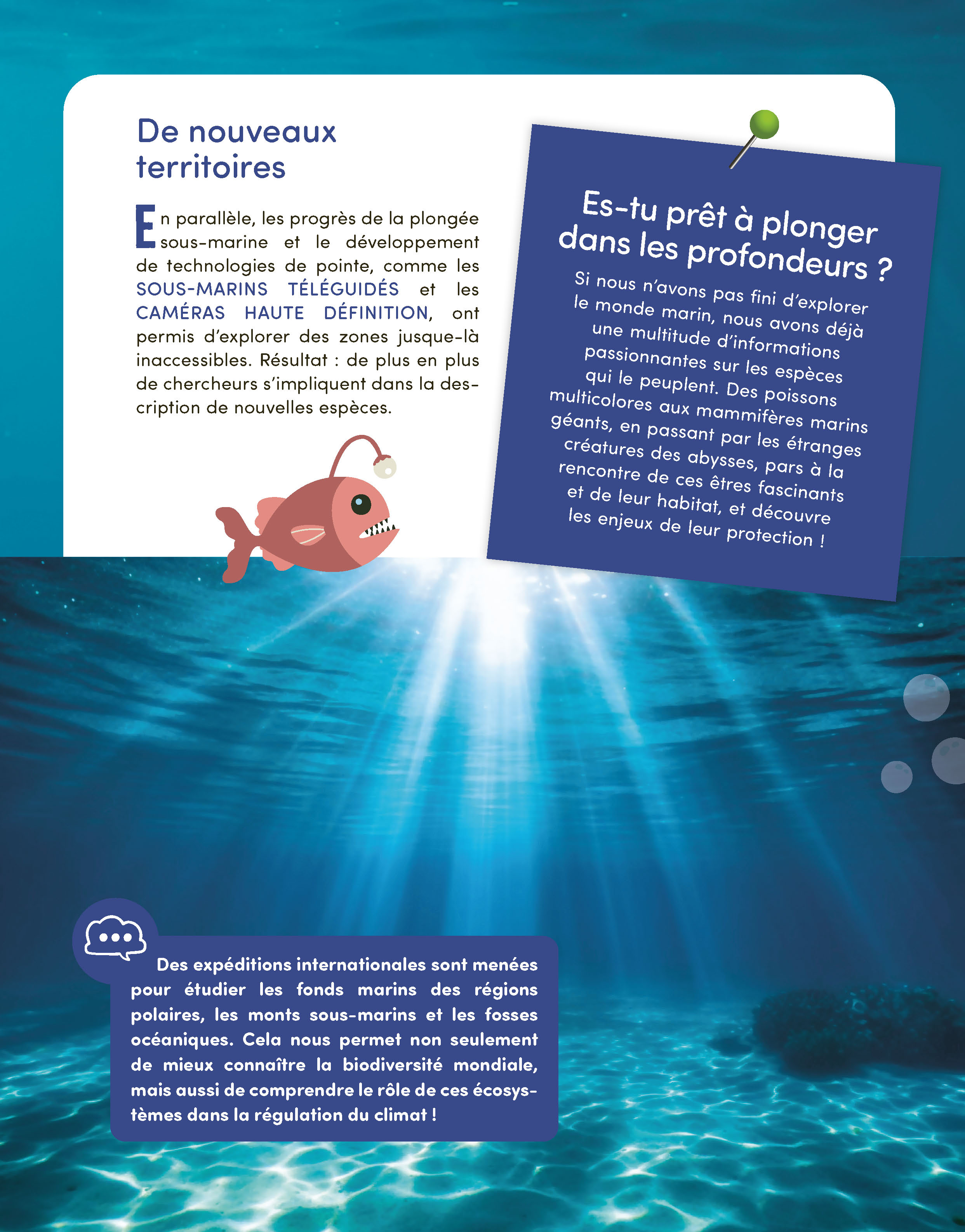 MON GRAND LIVRE DU MONDE MARIN