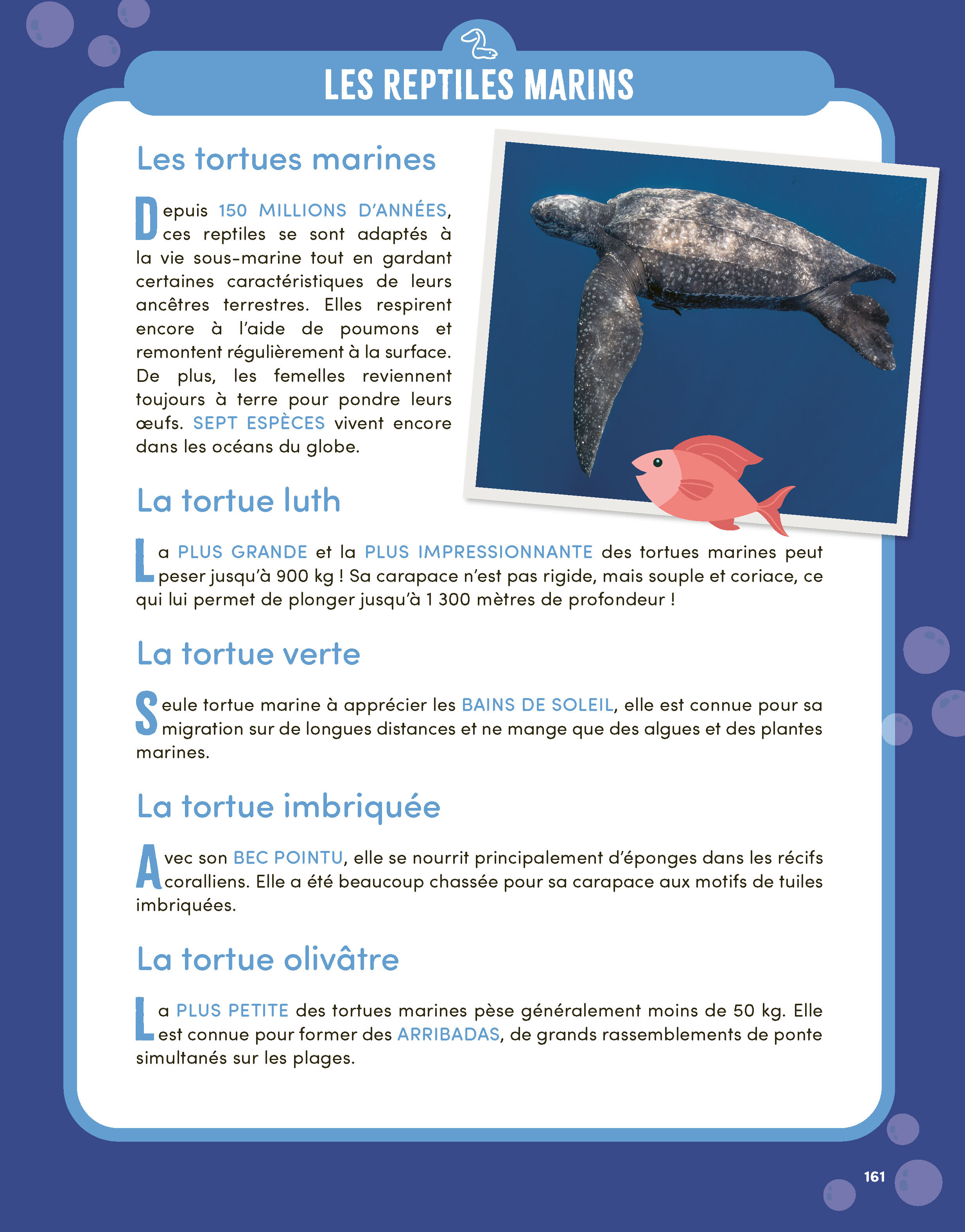 MON GRAND LIVRE DU MONDE MARIN