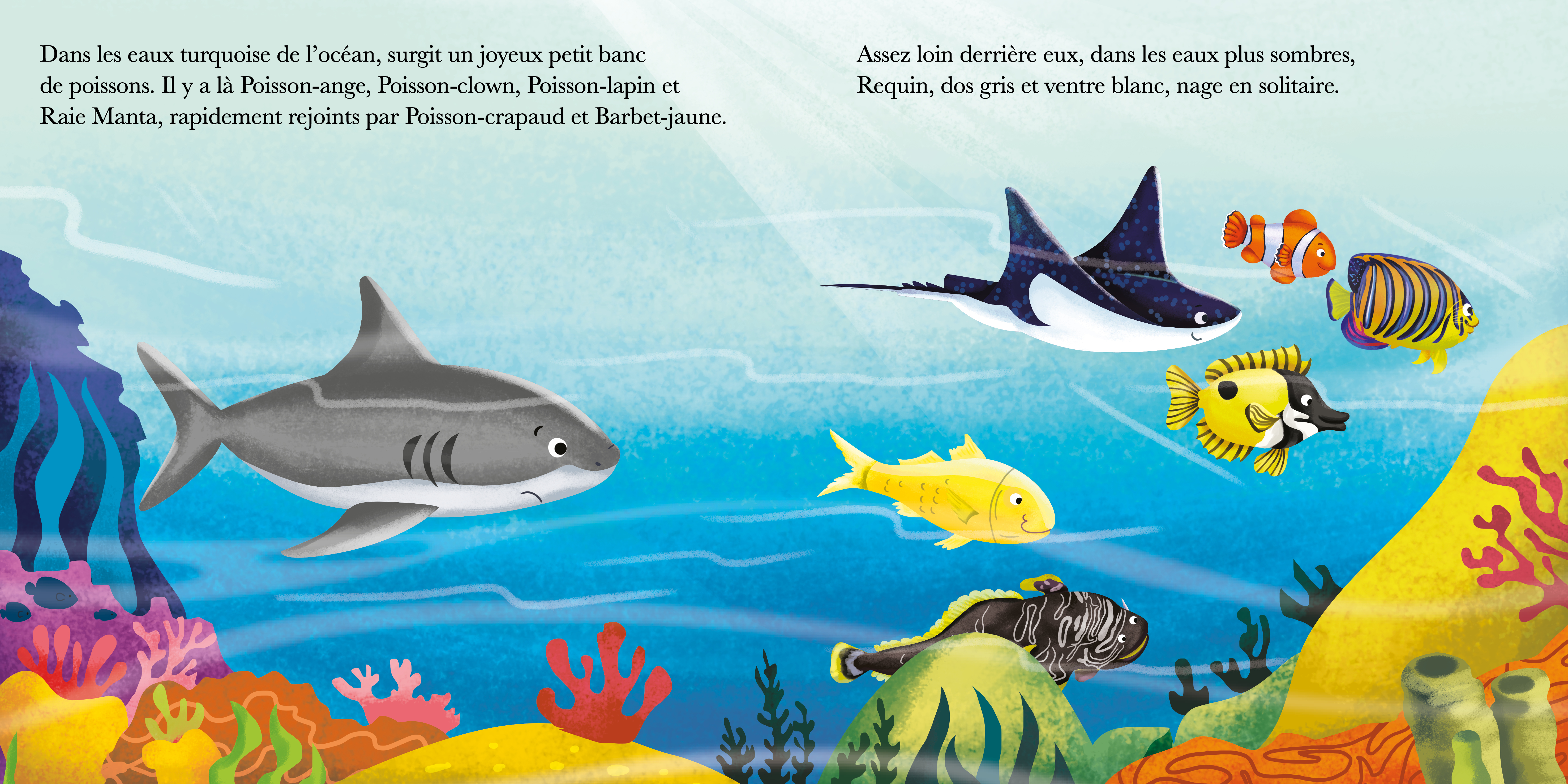 REQUIN N