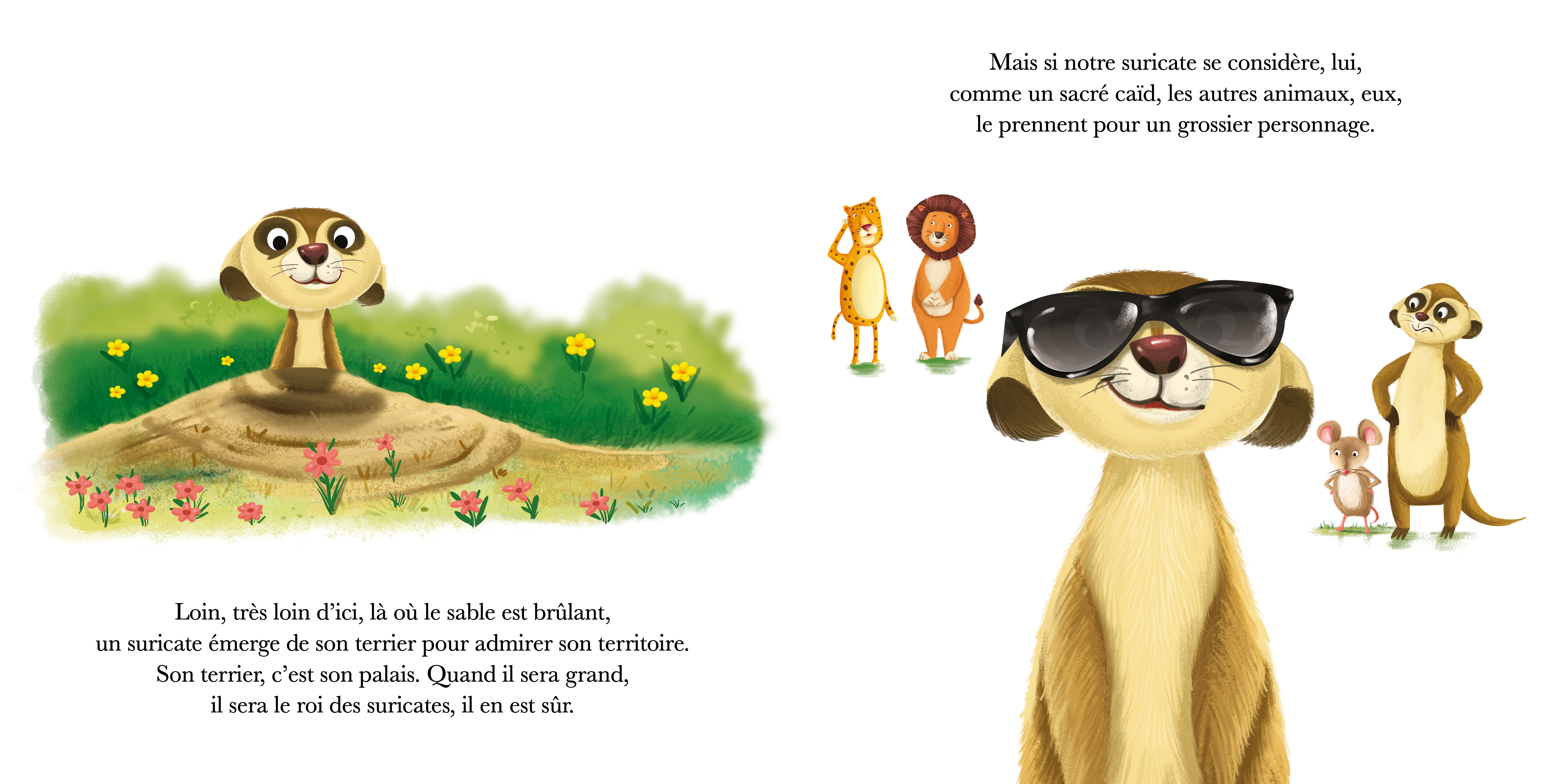SURICATE N