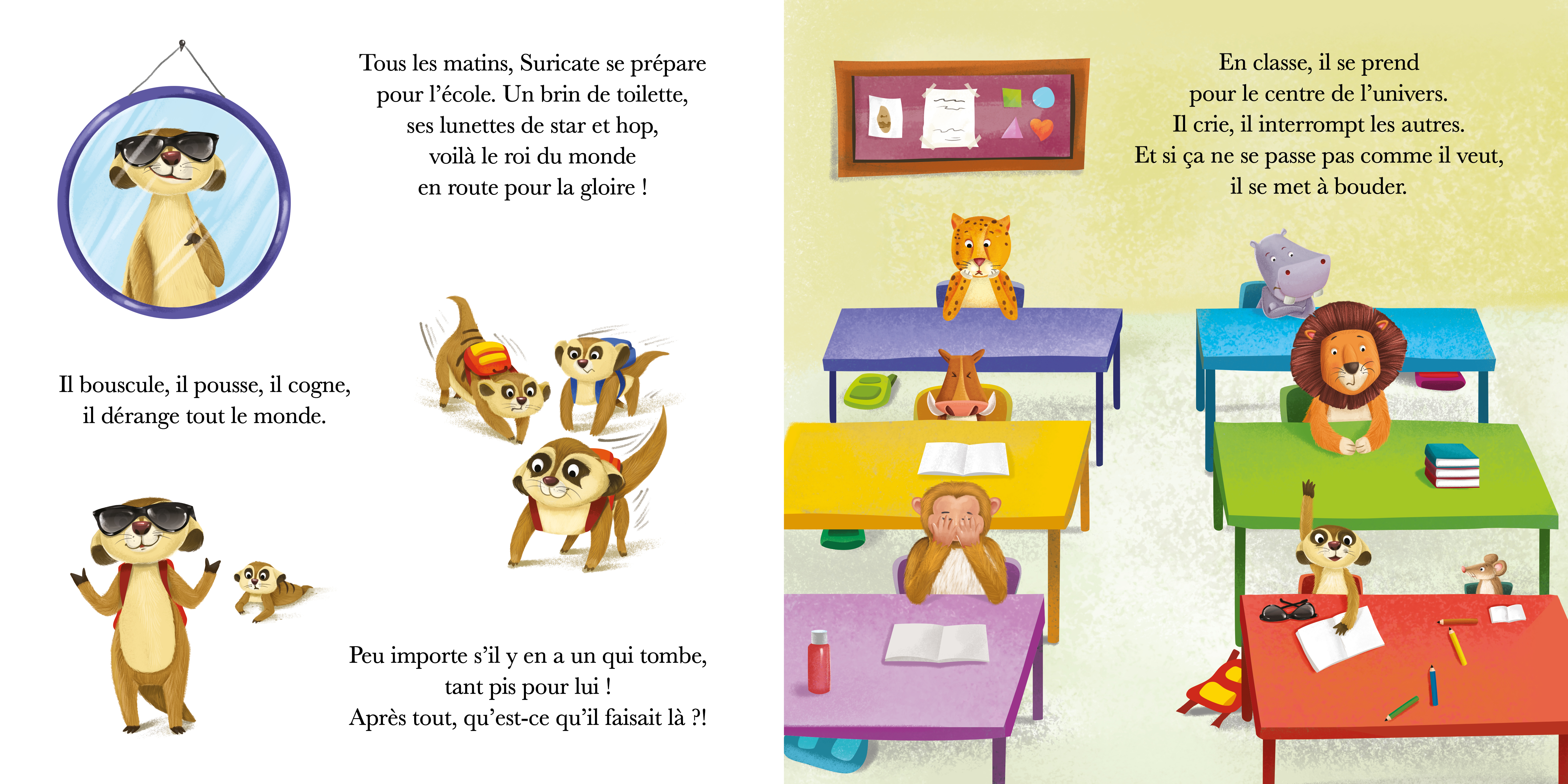 SURICATE N