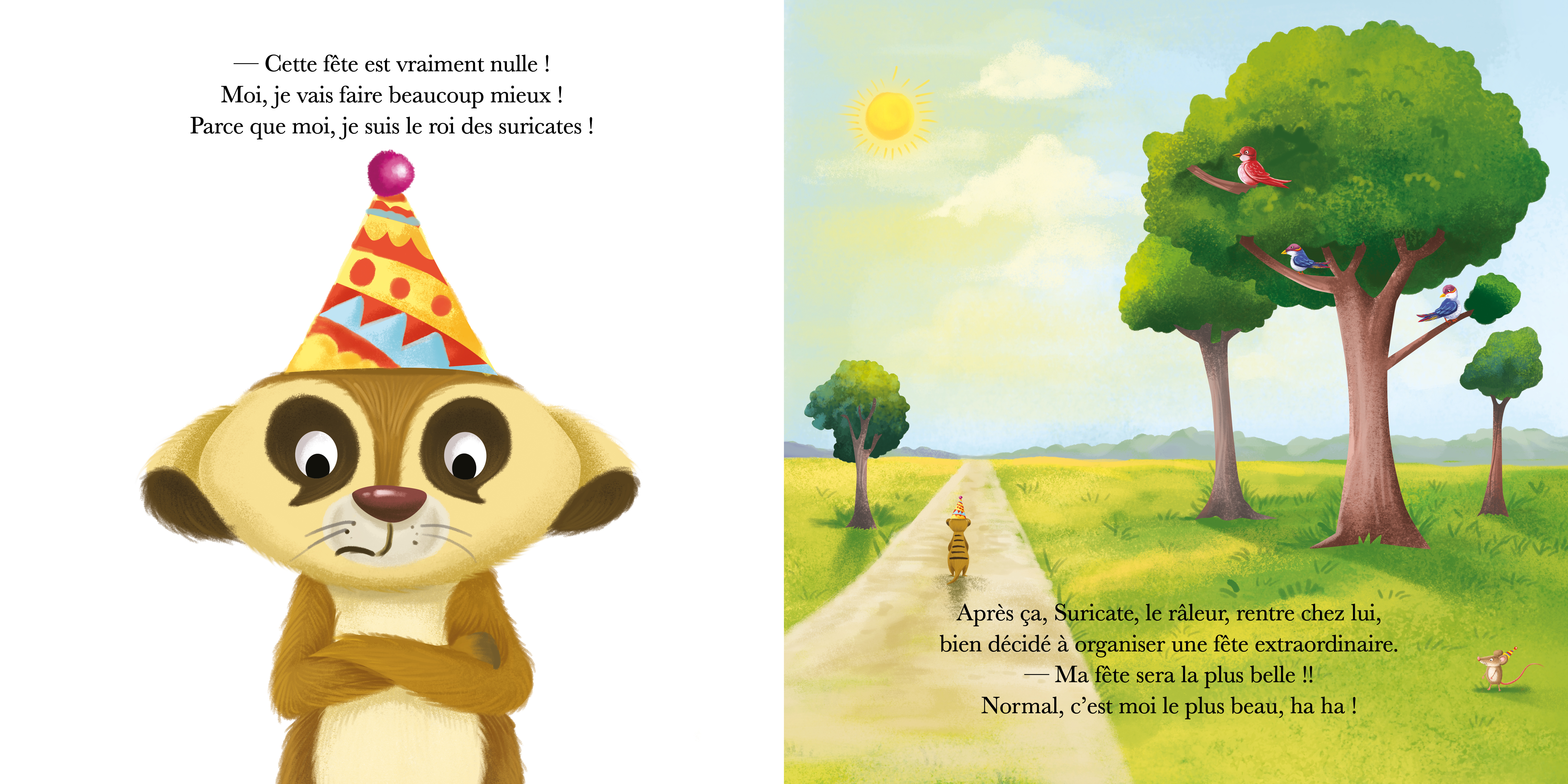 SURICATE N
