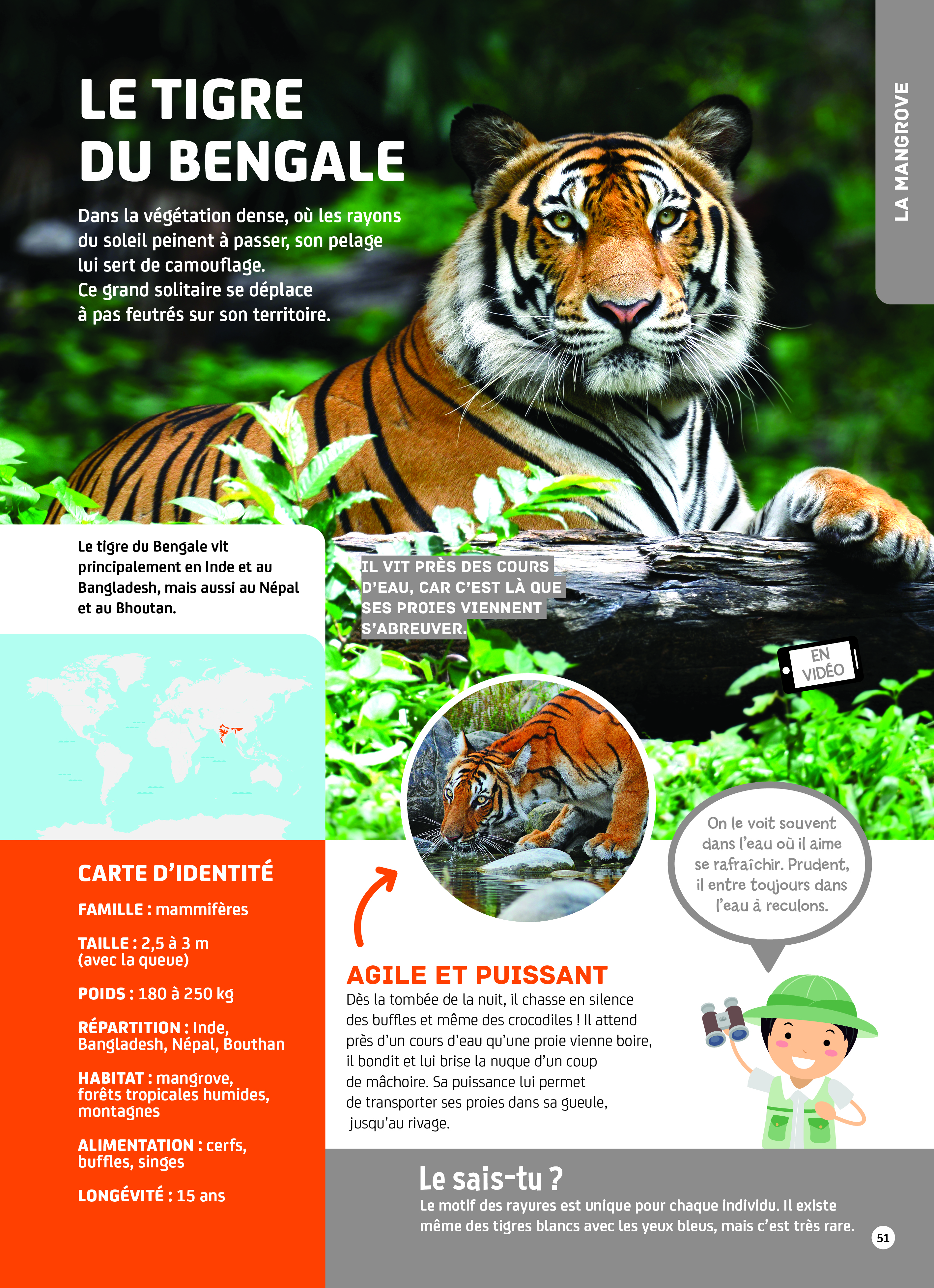 MON GRAND LIVRE DES ANIMAUX - UN LIVRE ANIME AVEC 150 VIDEOS + 1 POSTER GEANT