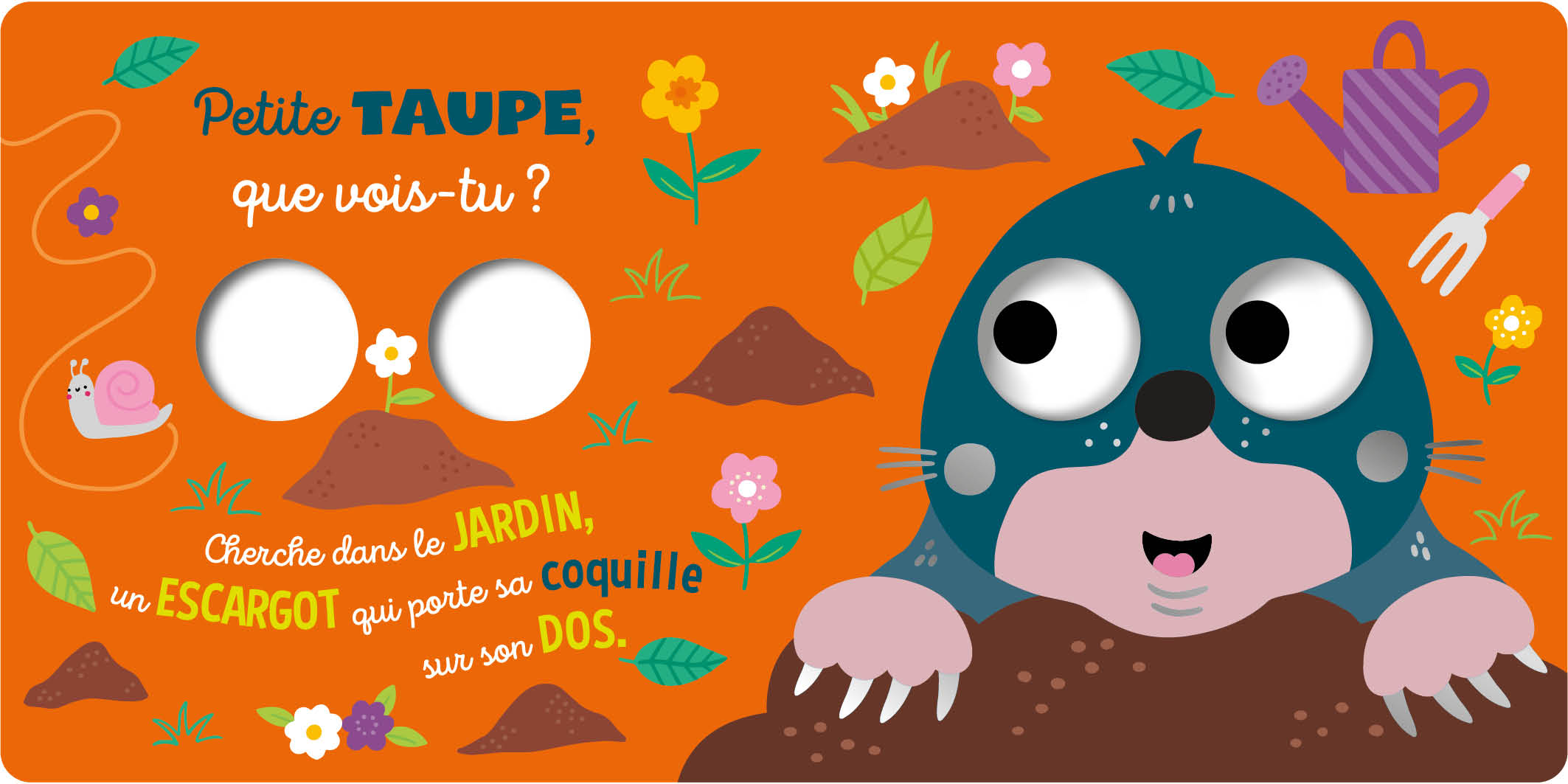 PETIT HIBOU QUE VOIS-TU ?