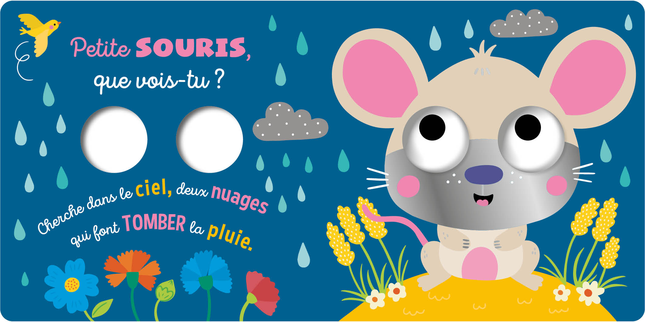 PETIT HIBOU QUE VOIS-TU ?