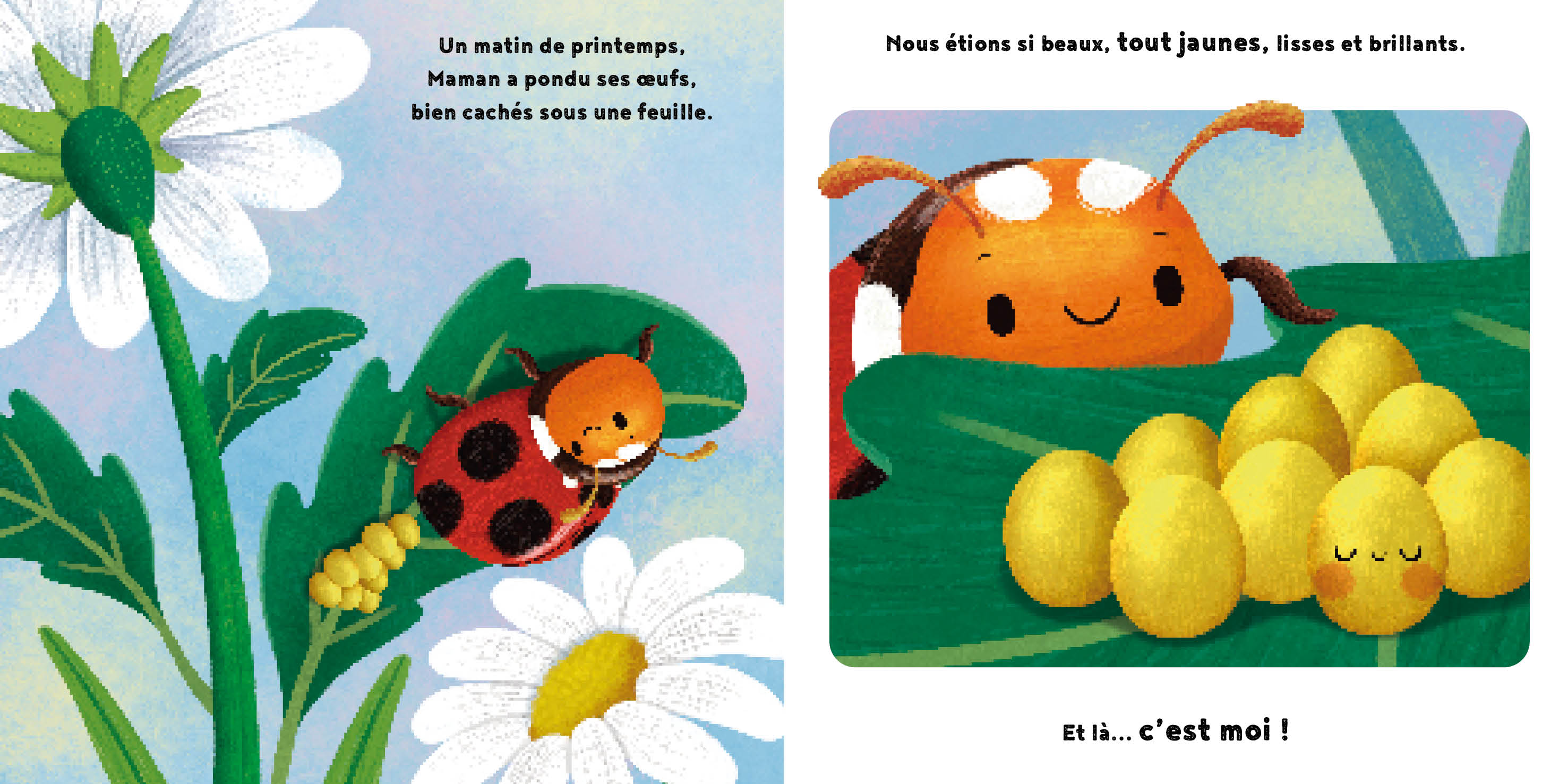 LA PETITE COCCINELLE