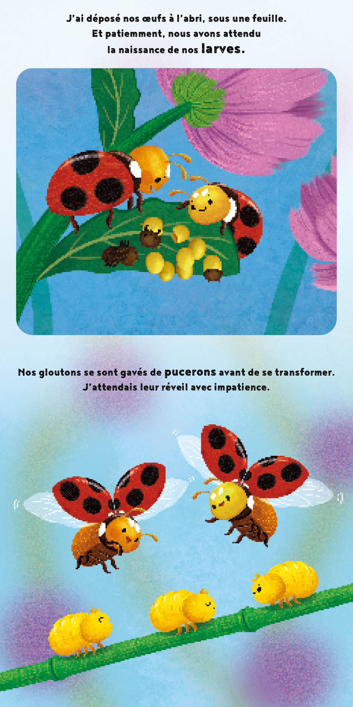 LA PETITE COCCINELLE