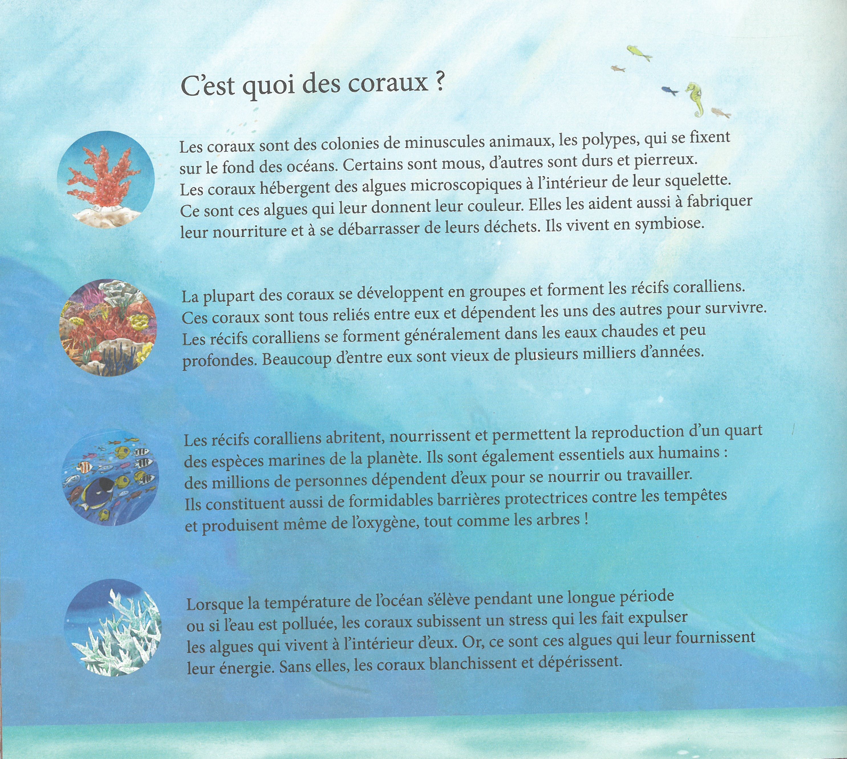 JARDINIERS DU CORAIL