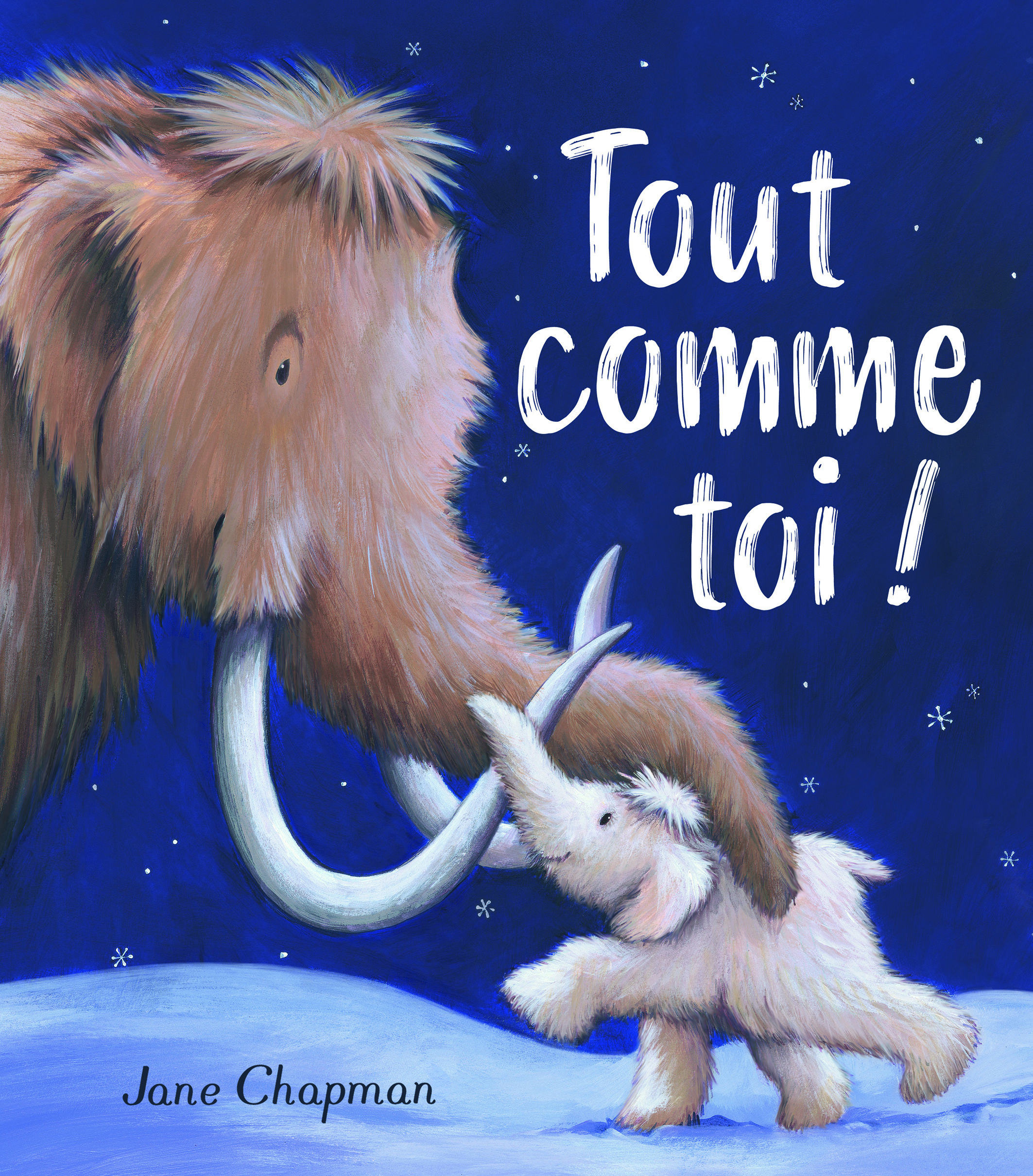 TOUT COMME TOI TOUT COMME TOI
