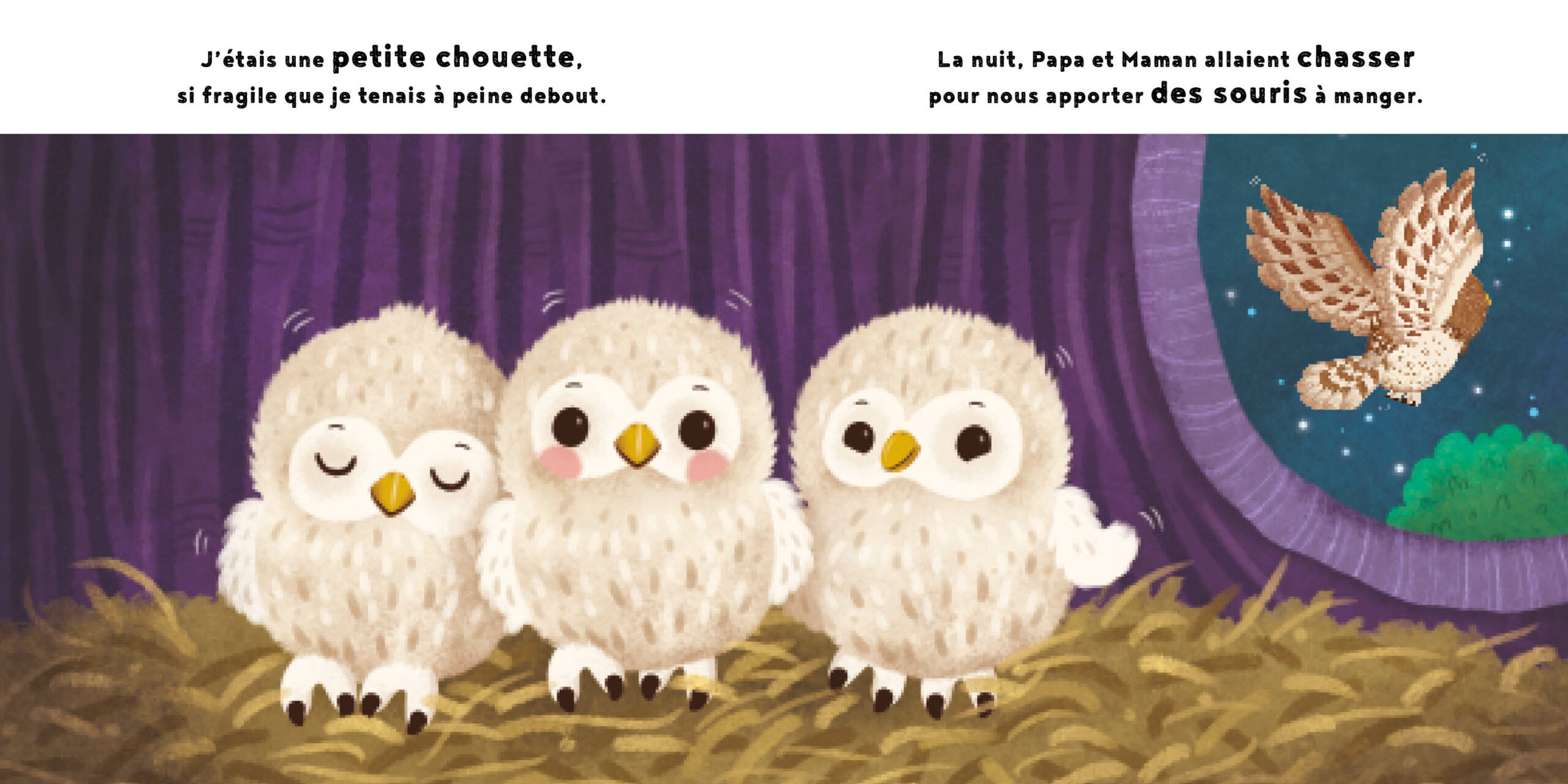 LA PETITE CHOUETTE