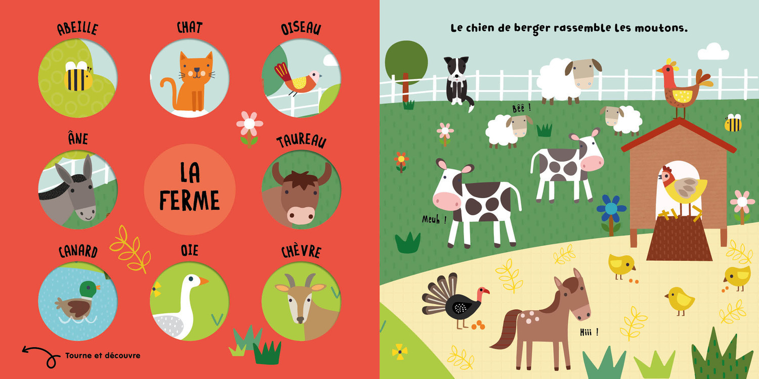 ANIMAUX PETITS ET GROS - TOURNE ET DECOUVRE 