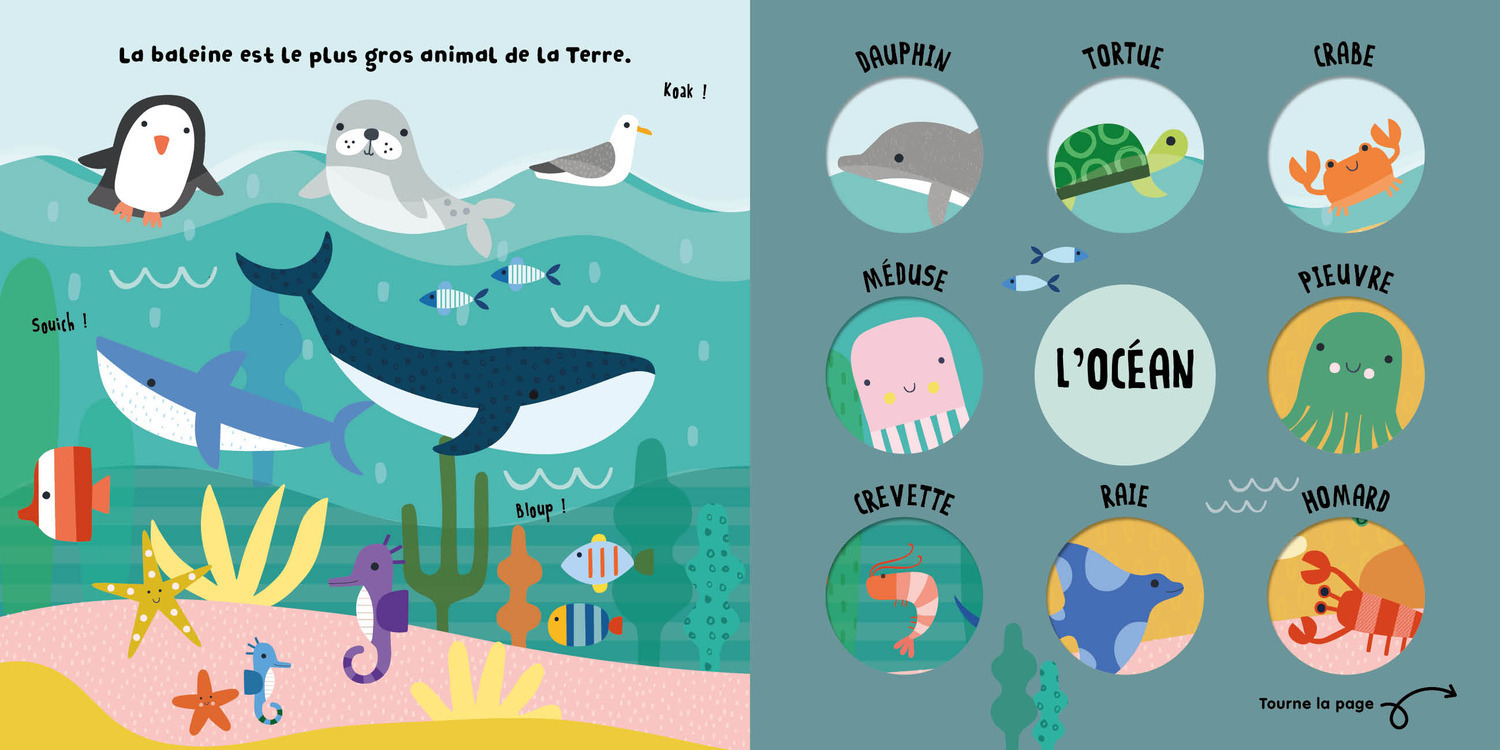 ANIMAUX PETITS ET GROS - TOURNE ET DECOUVRE 