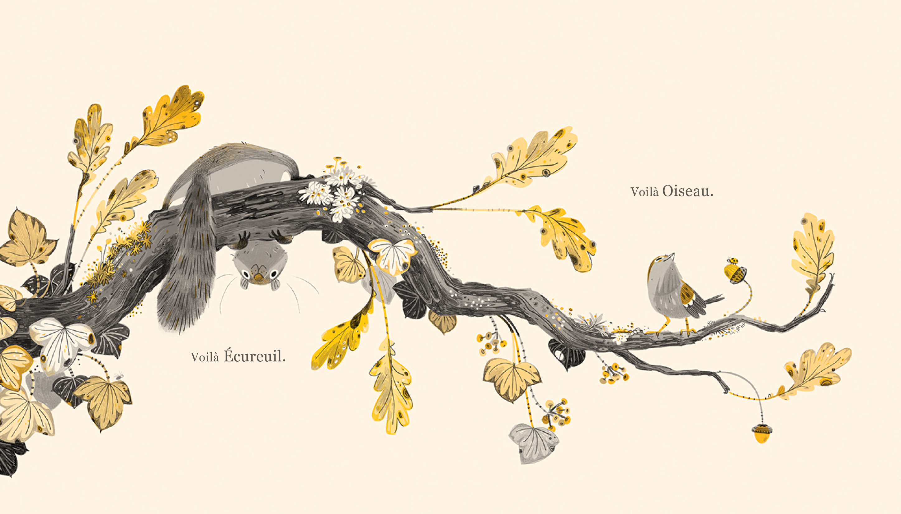 ECUREUIL ET OISEAU ECUREUIL ET OISEAU
