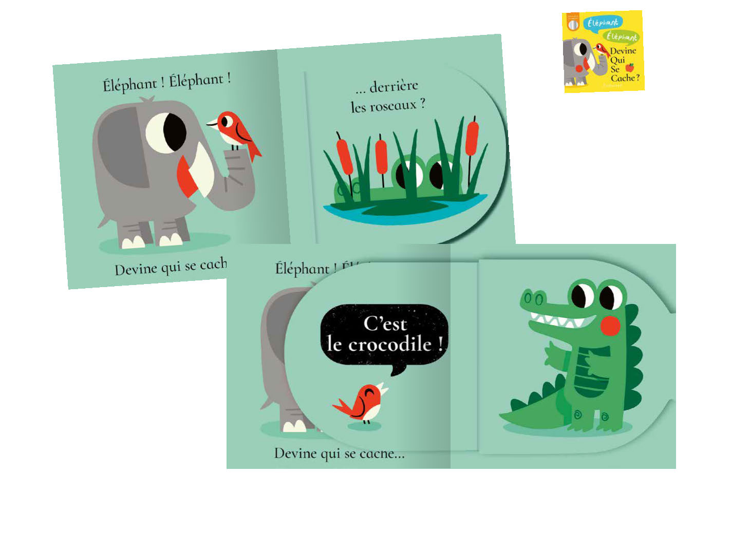 ELEPHANT, ELEPHANT, DEVINE QUI SE CACHE ? : DES FLAPS & UN MIROIR !