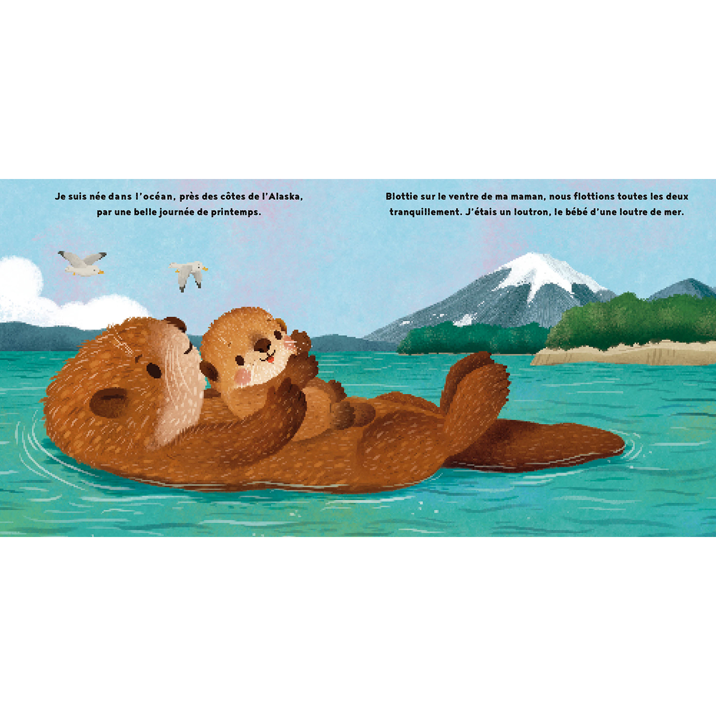 LA PETITE LOUTRE LA PETITE LOUTRE